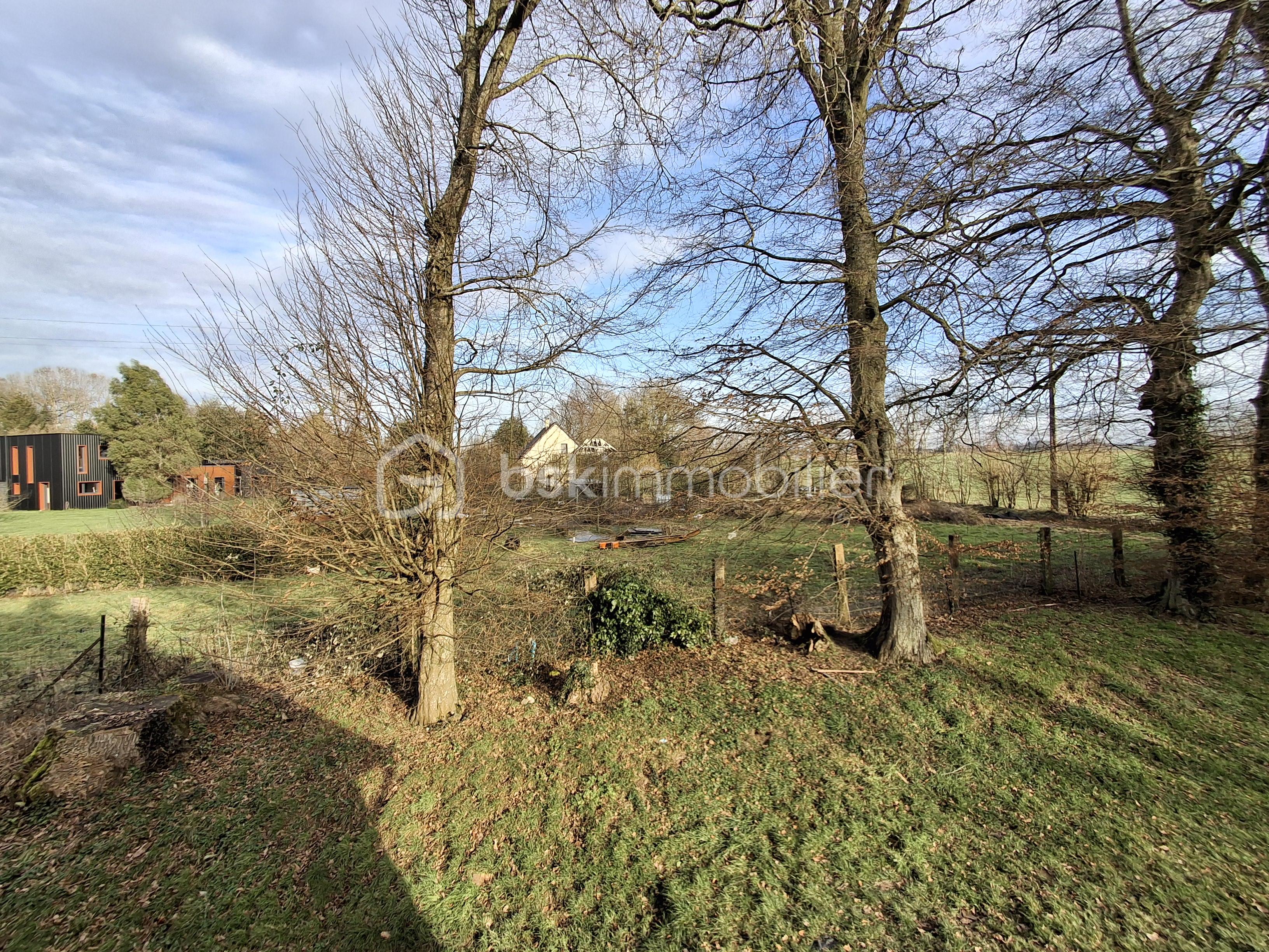Maison de 125 m² - Vue vers parcelle arrière paysage.png