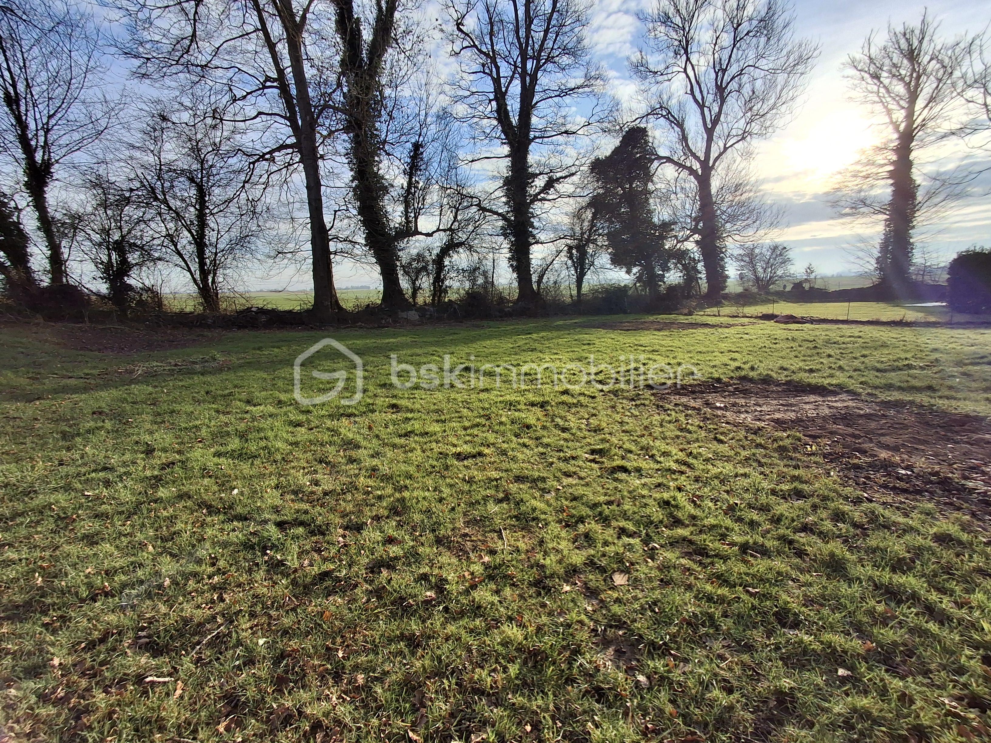 Maison de 125 m² - vue jardin paysage.png