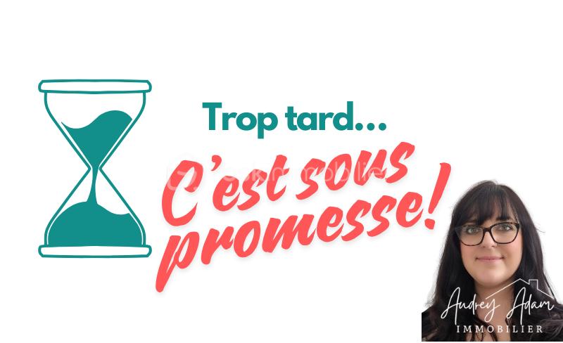 Maison traditionnelle de 100 m² - Photo sous promesse.png