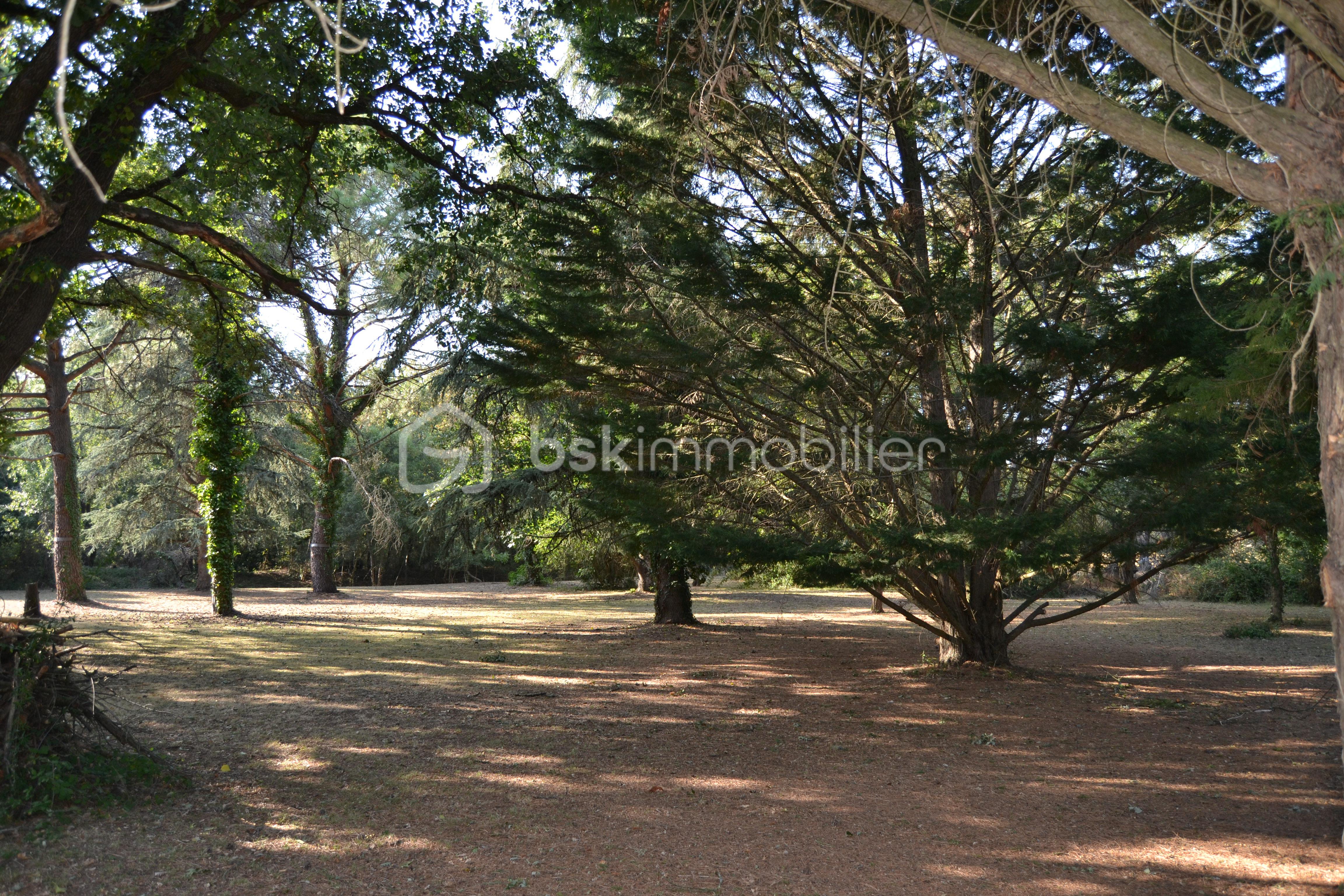 DSC_0157 parc bois.JPG