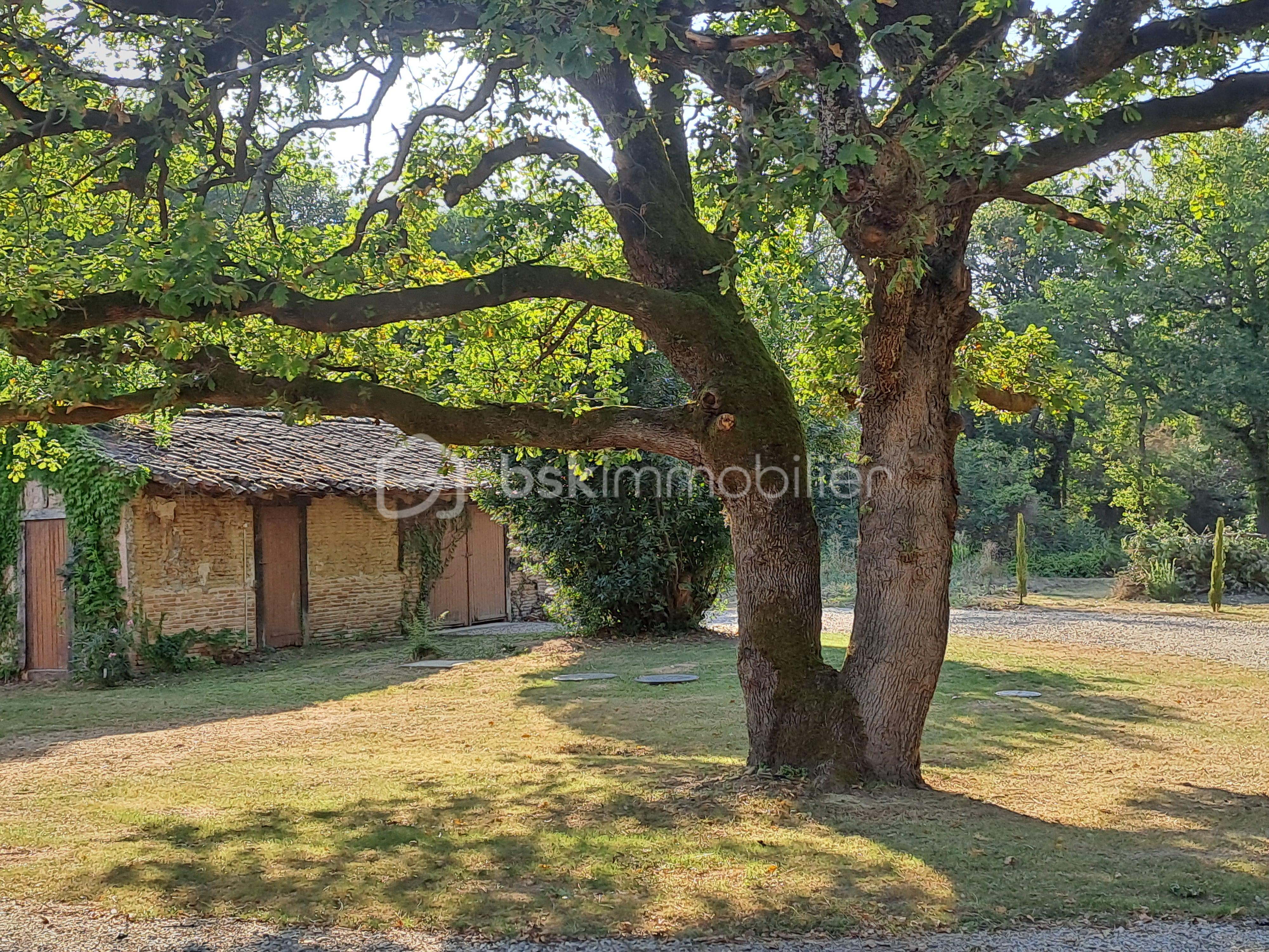 Bastide de 310 m² - 20250815_182621.jpg