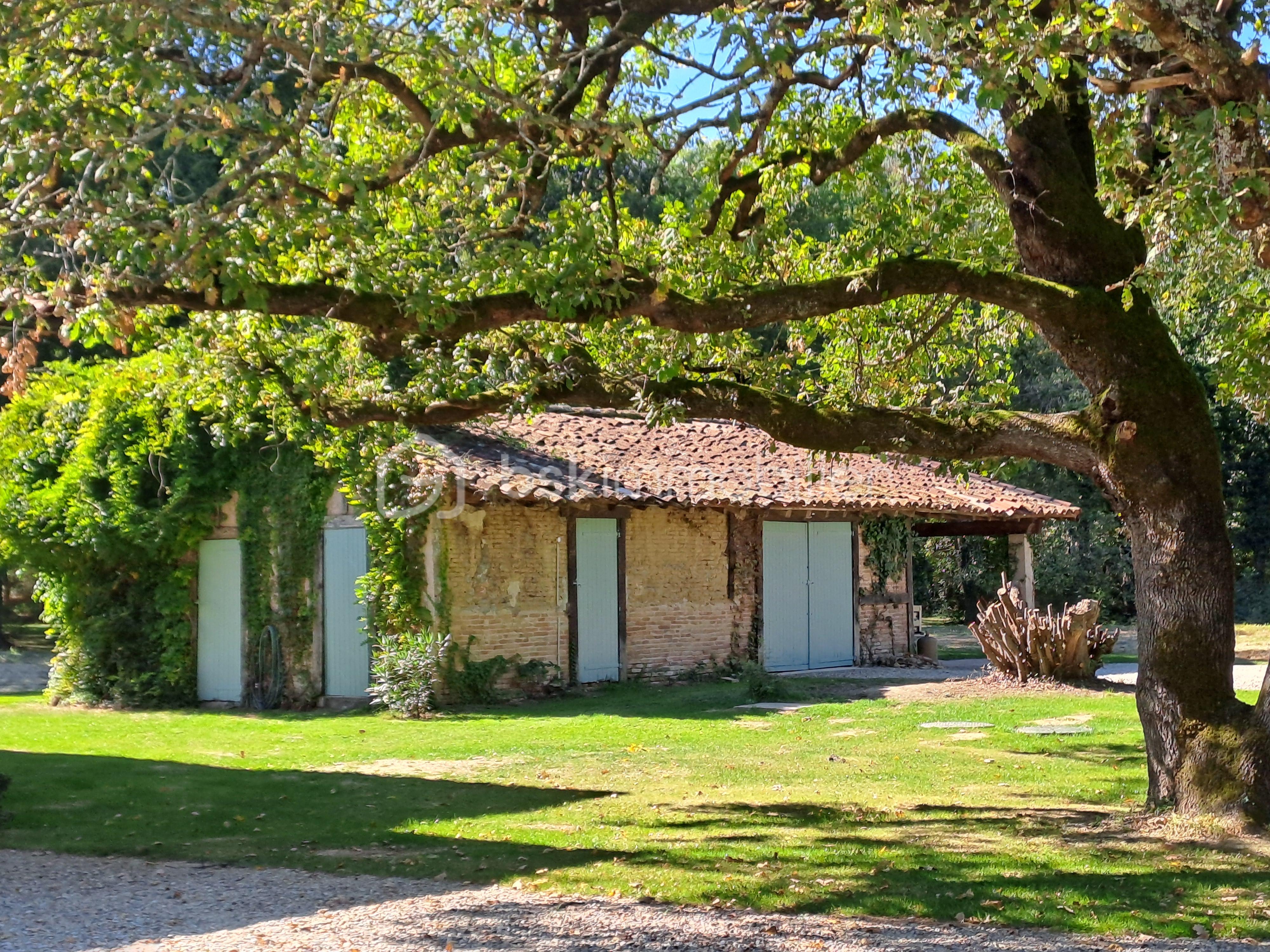 Maison de 310 m² - 20251008_145206.jpg