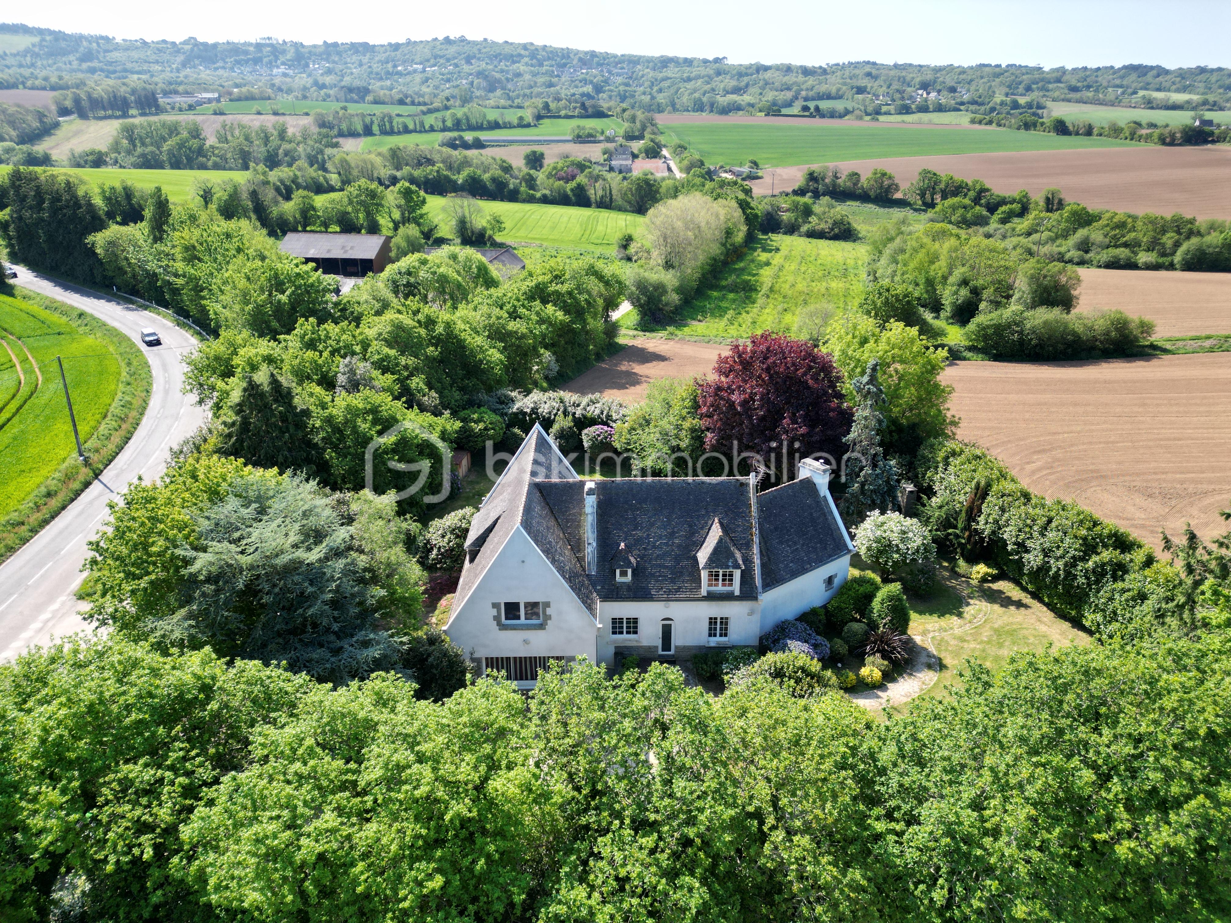 DJI_0920.JPG