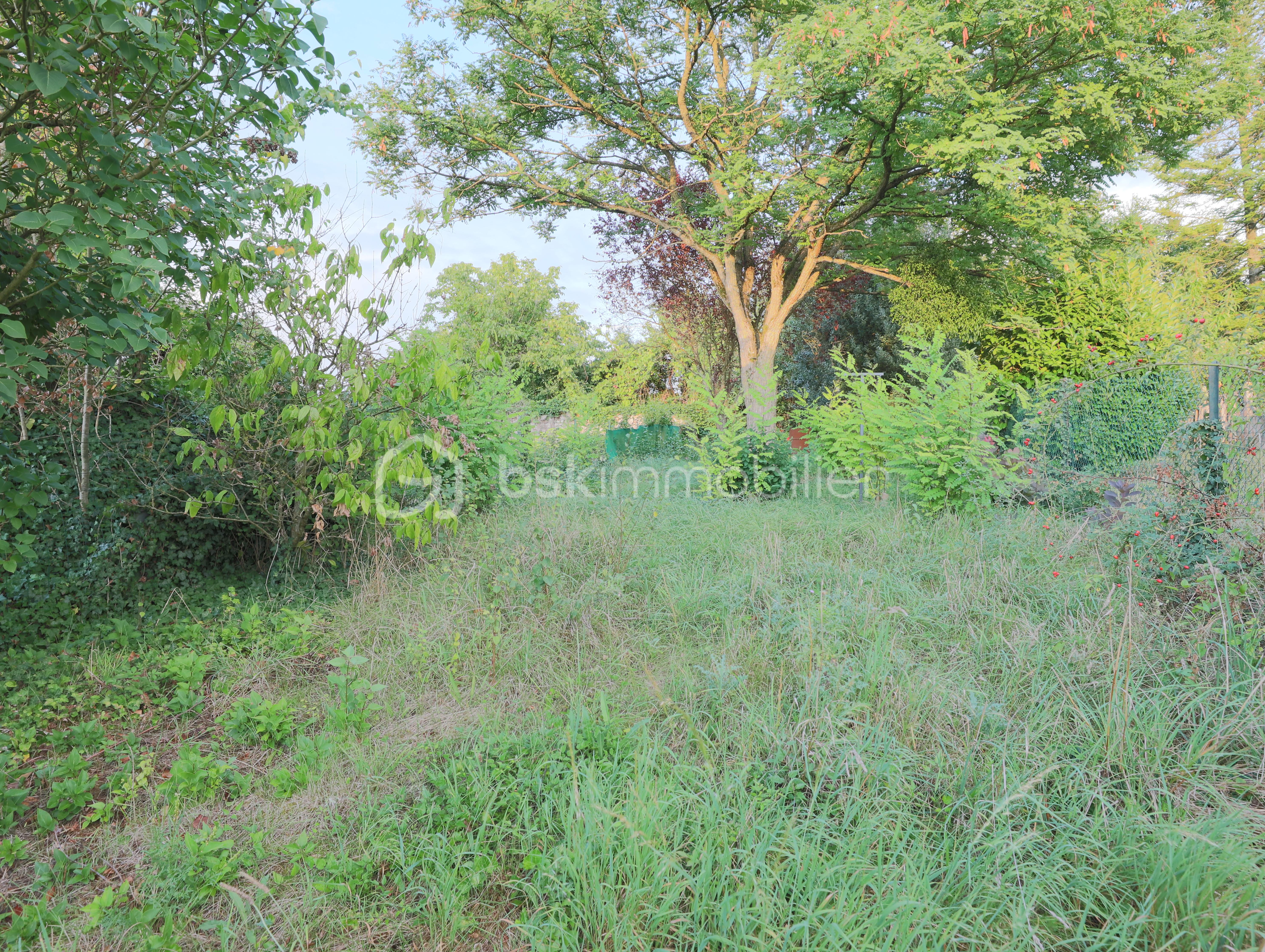 Maison ancienne de 130 m² - jardin.JPG