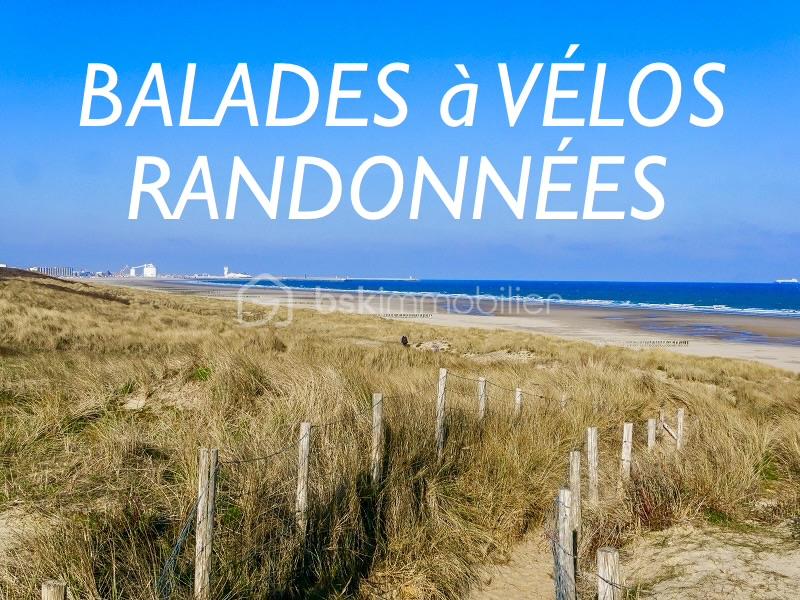 philippe dunes 1.jpeg