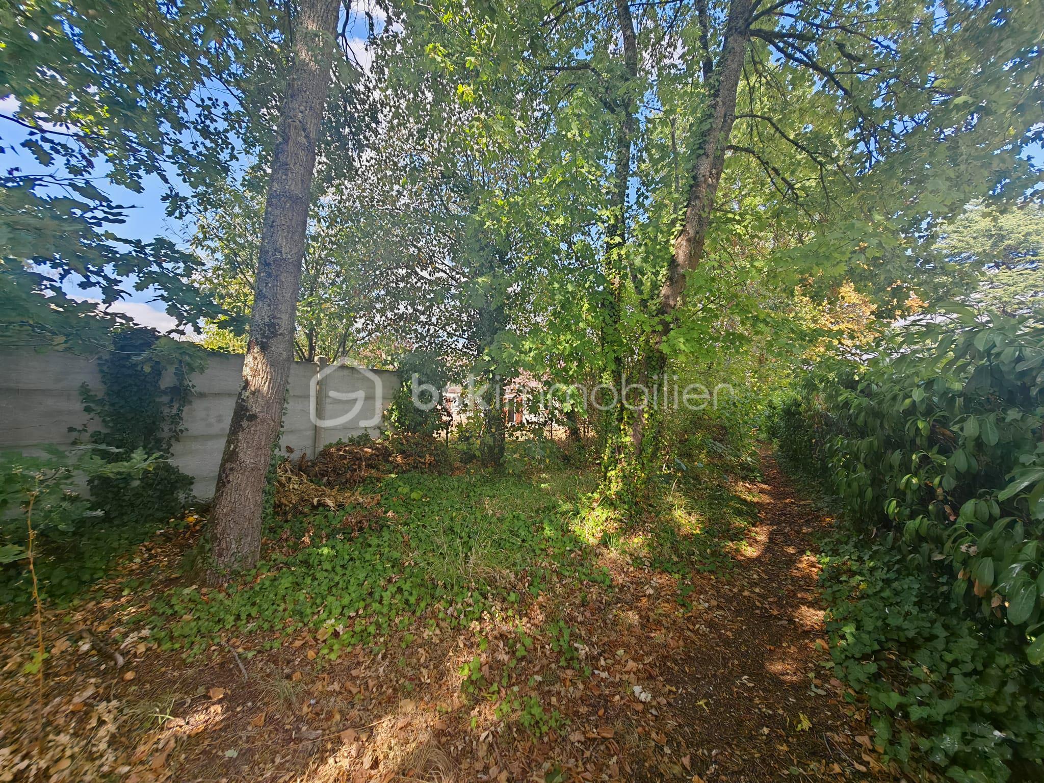 jardin1.jpg