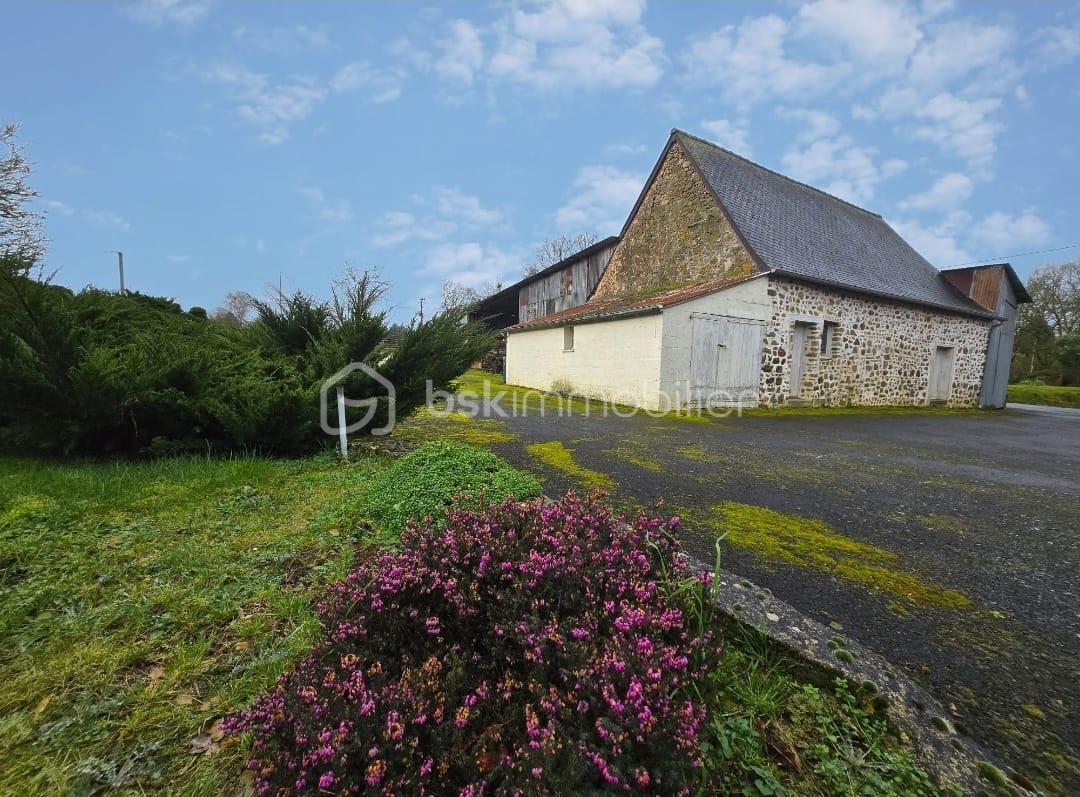 Maison en pierre de 80 m² - WhatsApp Image 2026-02-05 at 13.53.02.jpeg