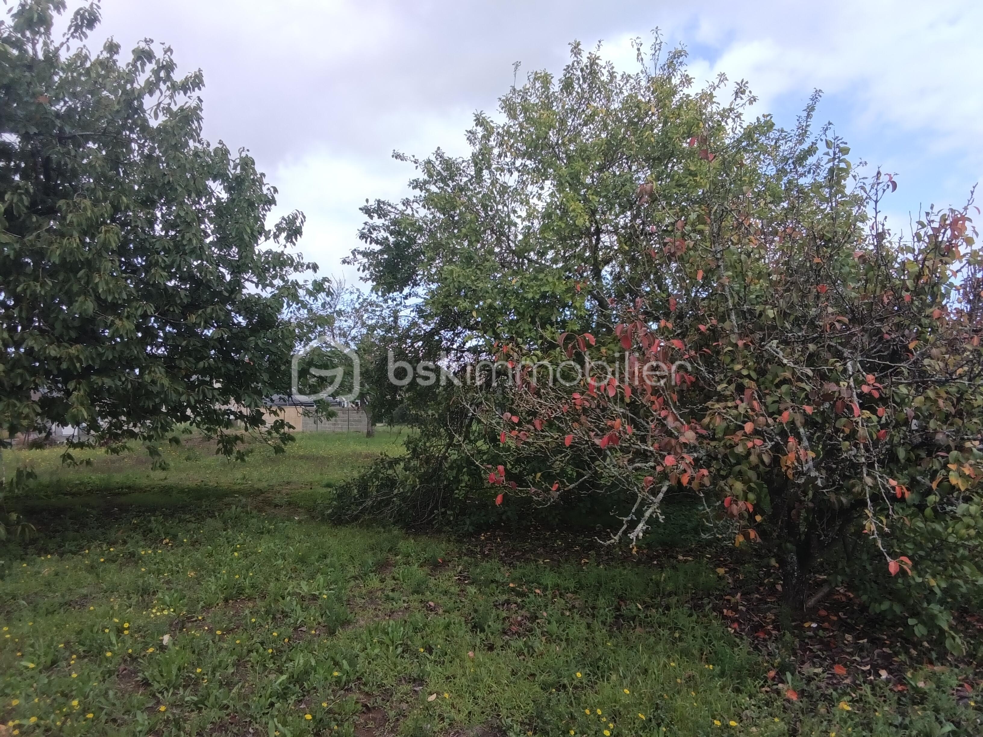 Terrain de 756 m² - 1000001074.jpg