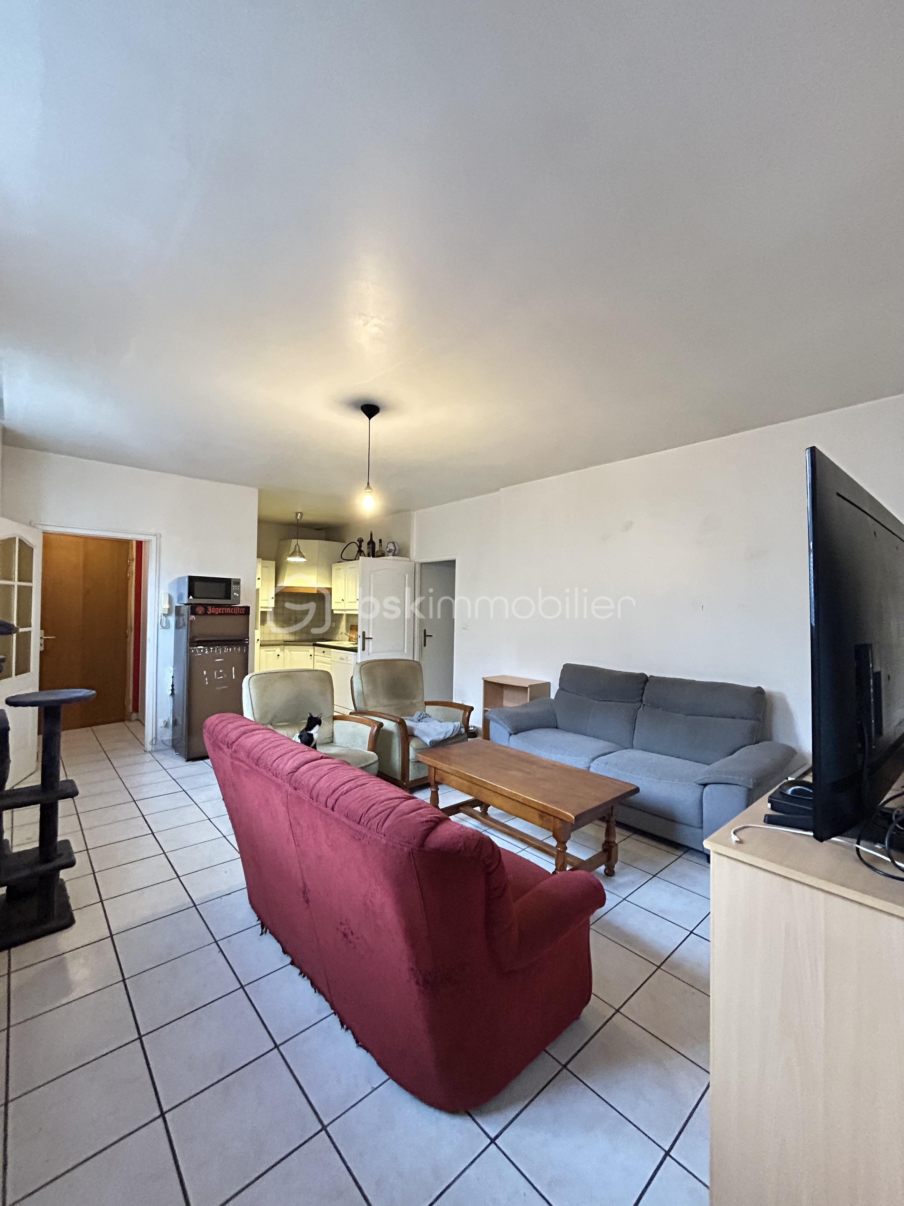 Appartement de 59 m² - Appartement Grenoble Vaillant Photo Salon.jpeg