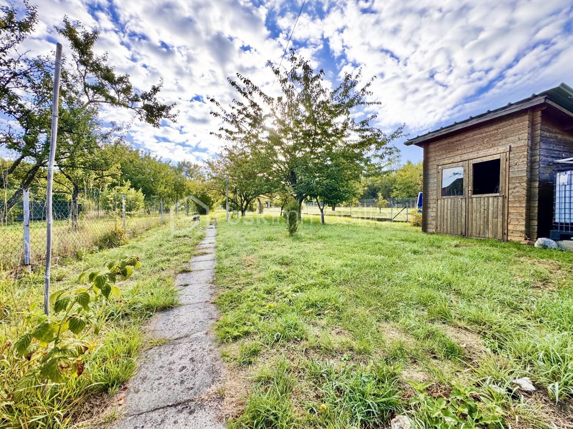 ab6a93d6-0d52-47c3-bdb0-11a7d592a0e5.jpg