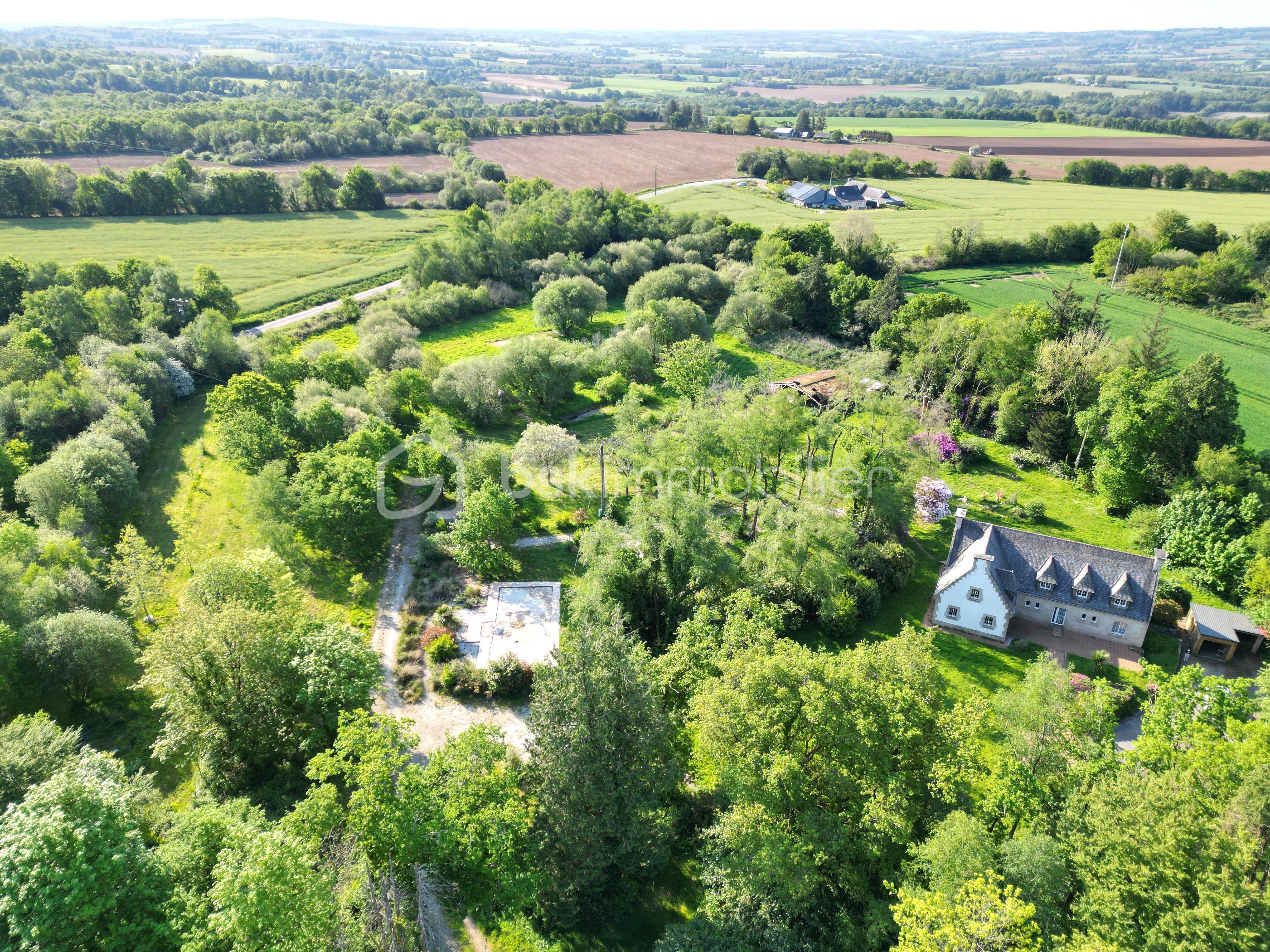 DJI_0915.JPG