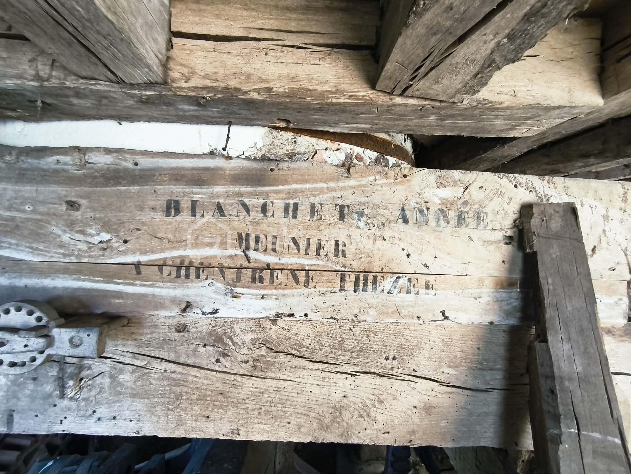 ecb9cc36-9b07-466a-8758-18ff81894950.jfif