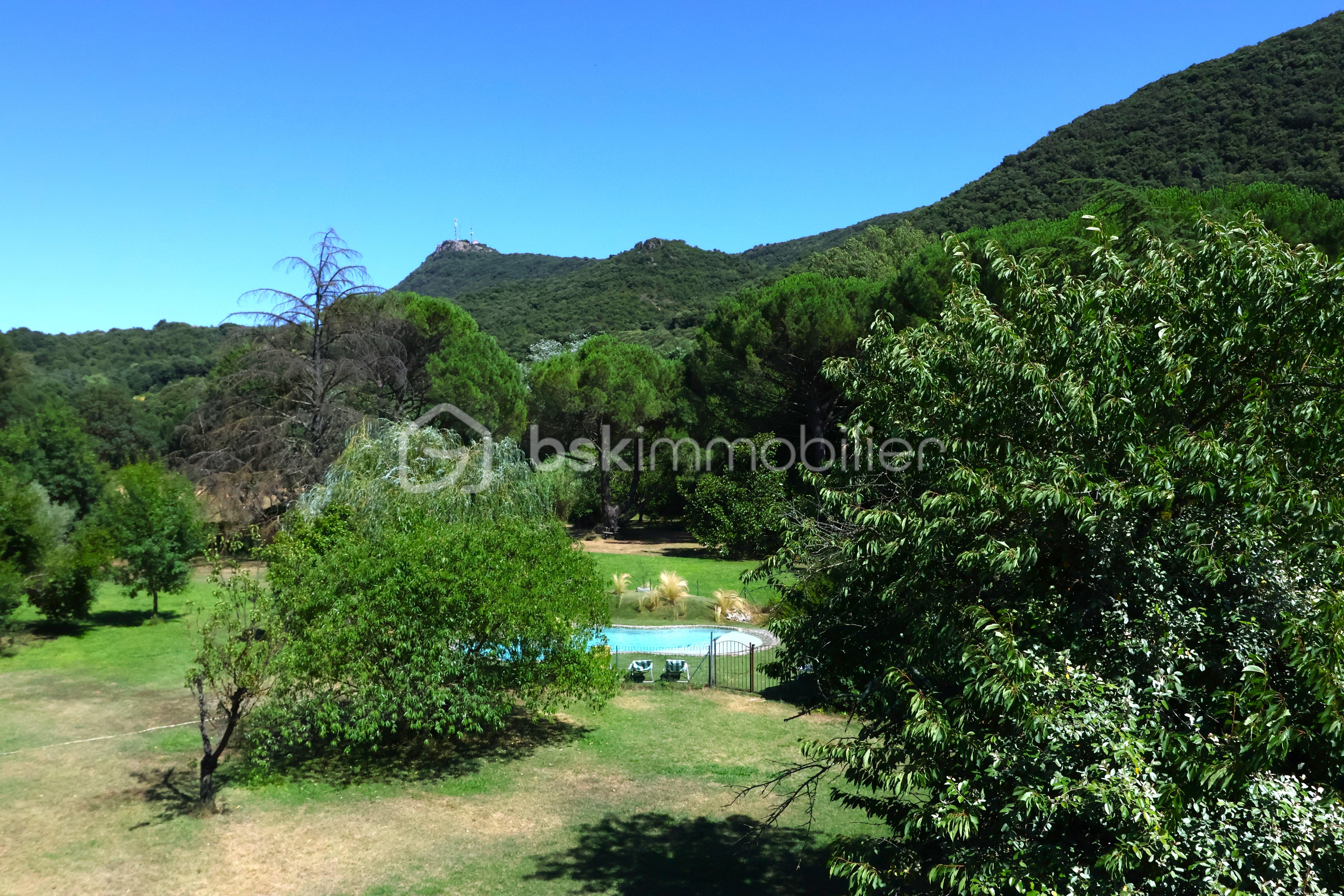 Propriete de 230 m² - IMG_2751.JPG
