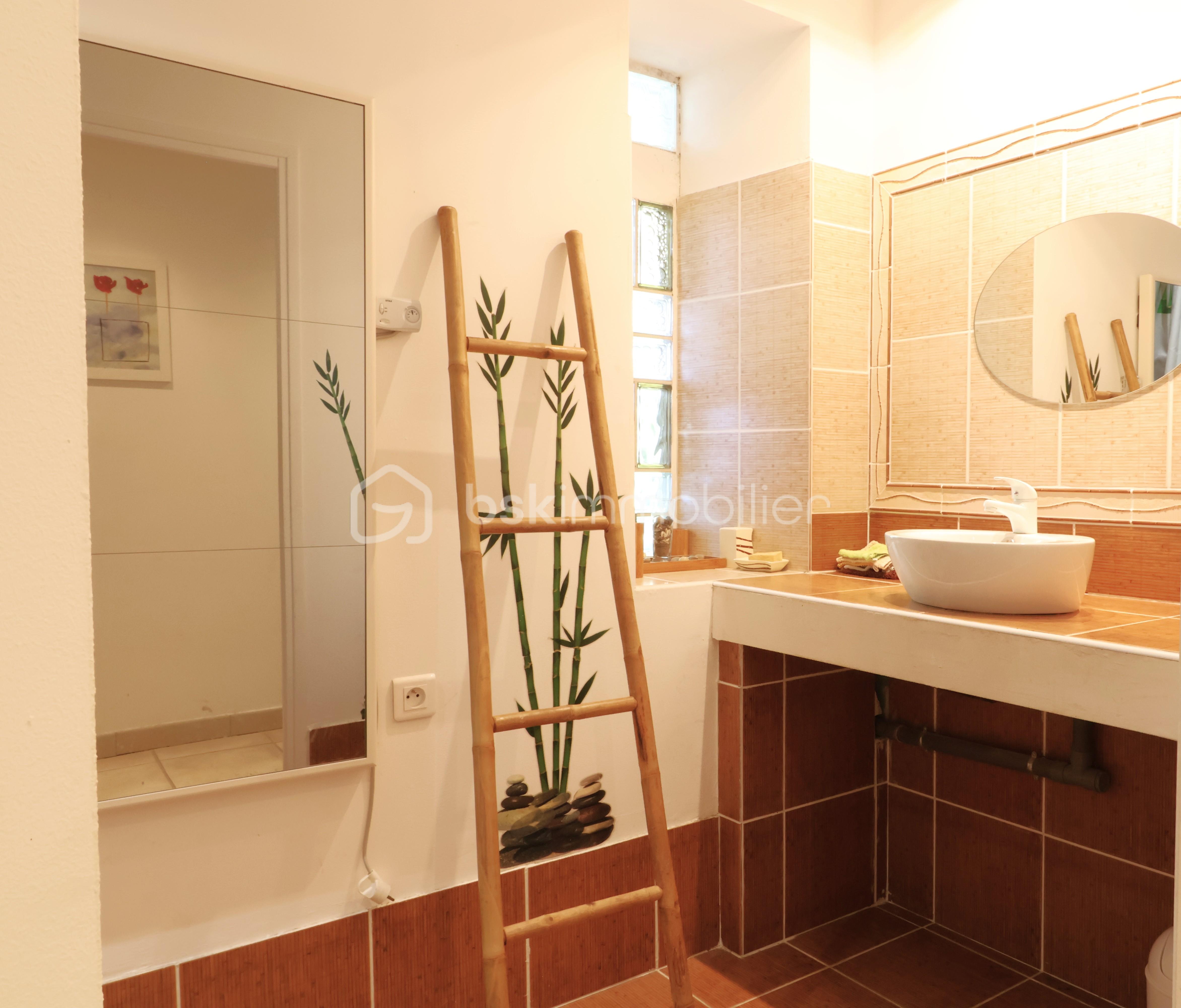 Propriete de 230 m² - IMG_2684.JPG