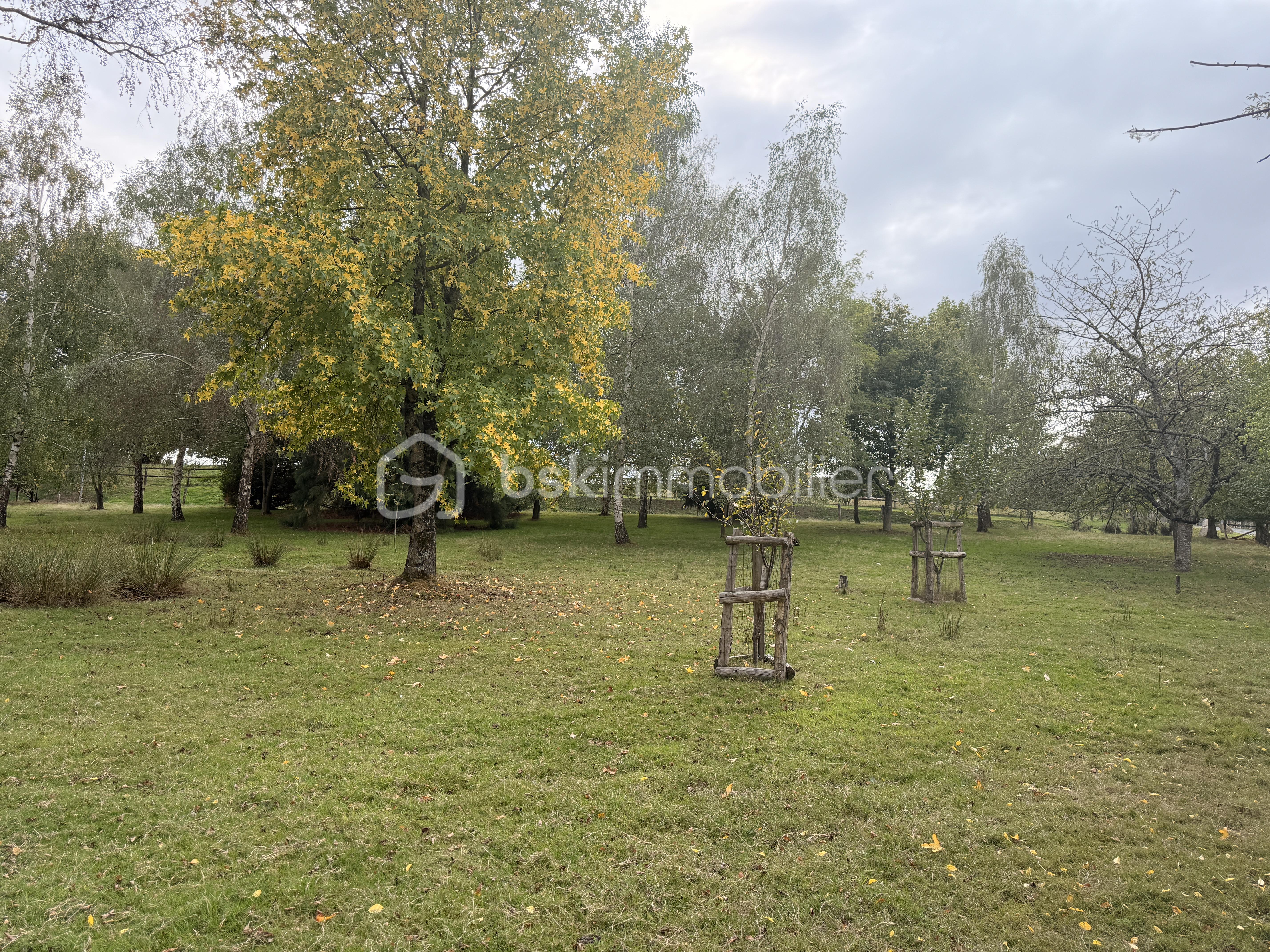 BATTEUX IMG_7587.JPG