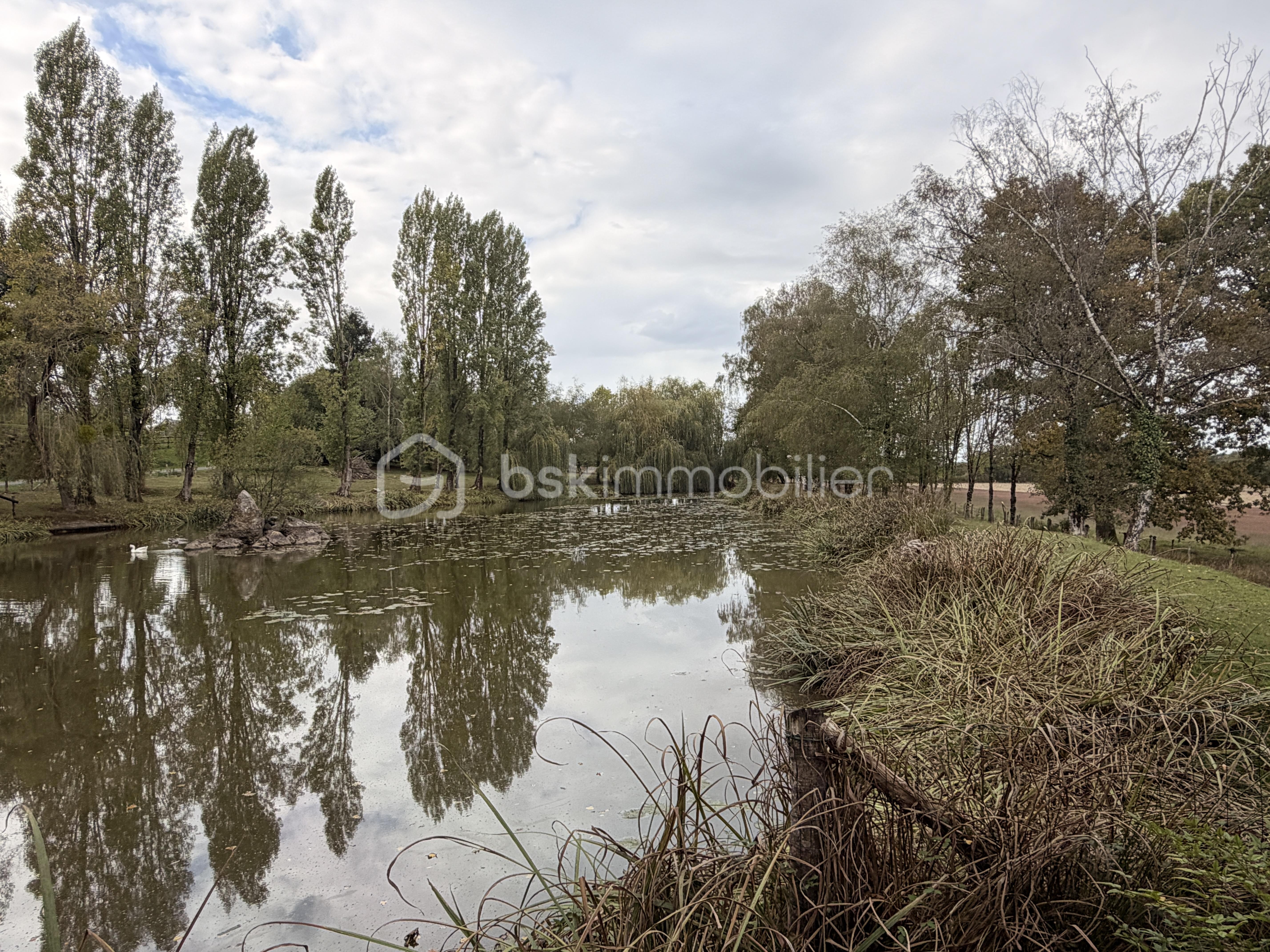 BATTEUX IMG_7589.JPG
