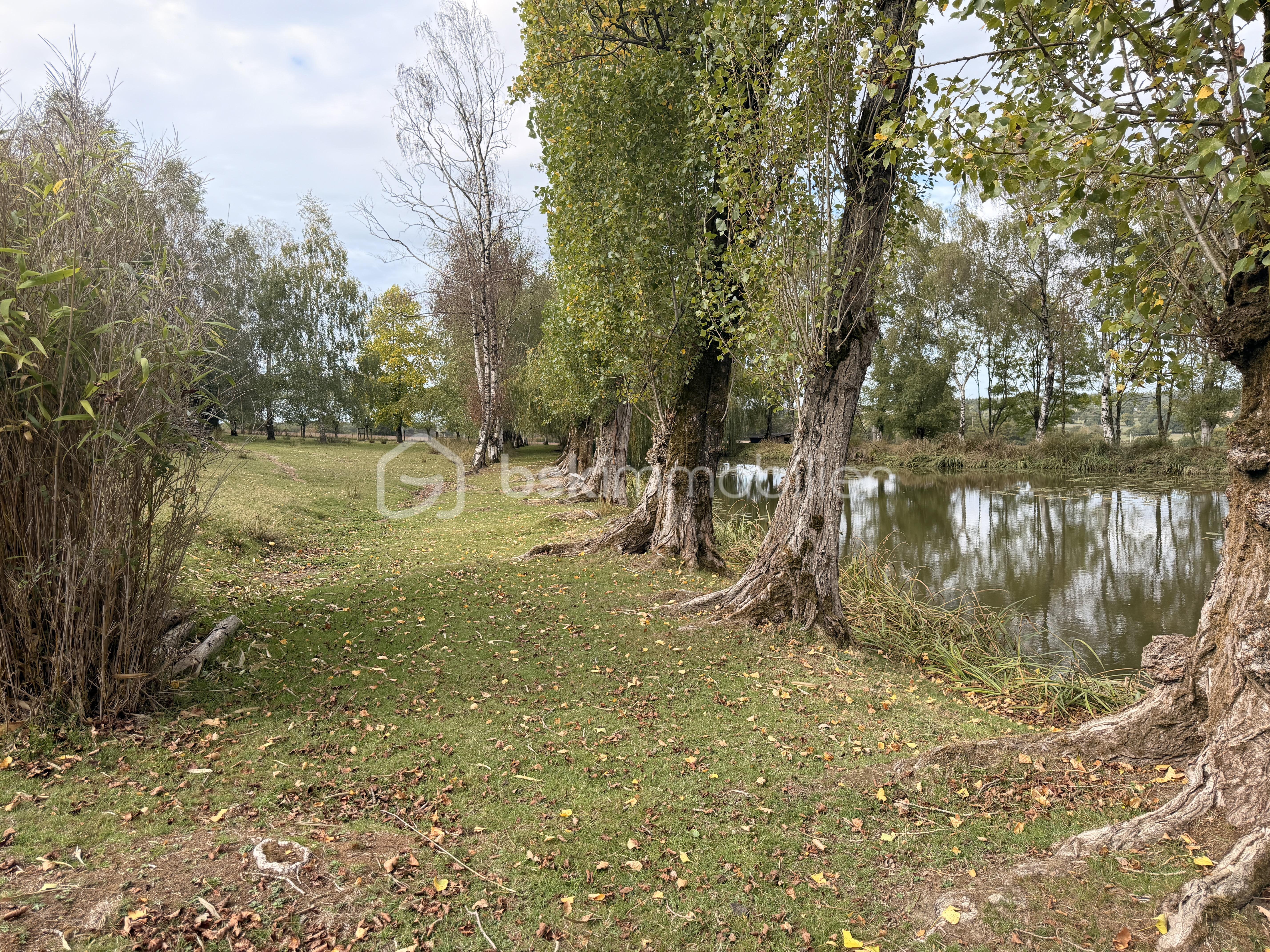 BATTEUX IMG_7583.JPG
