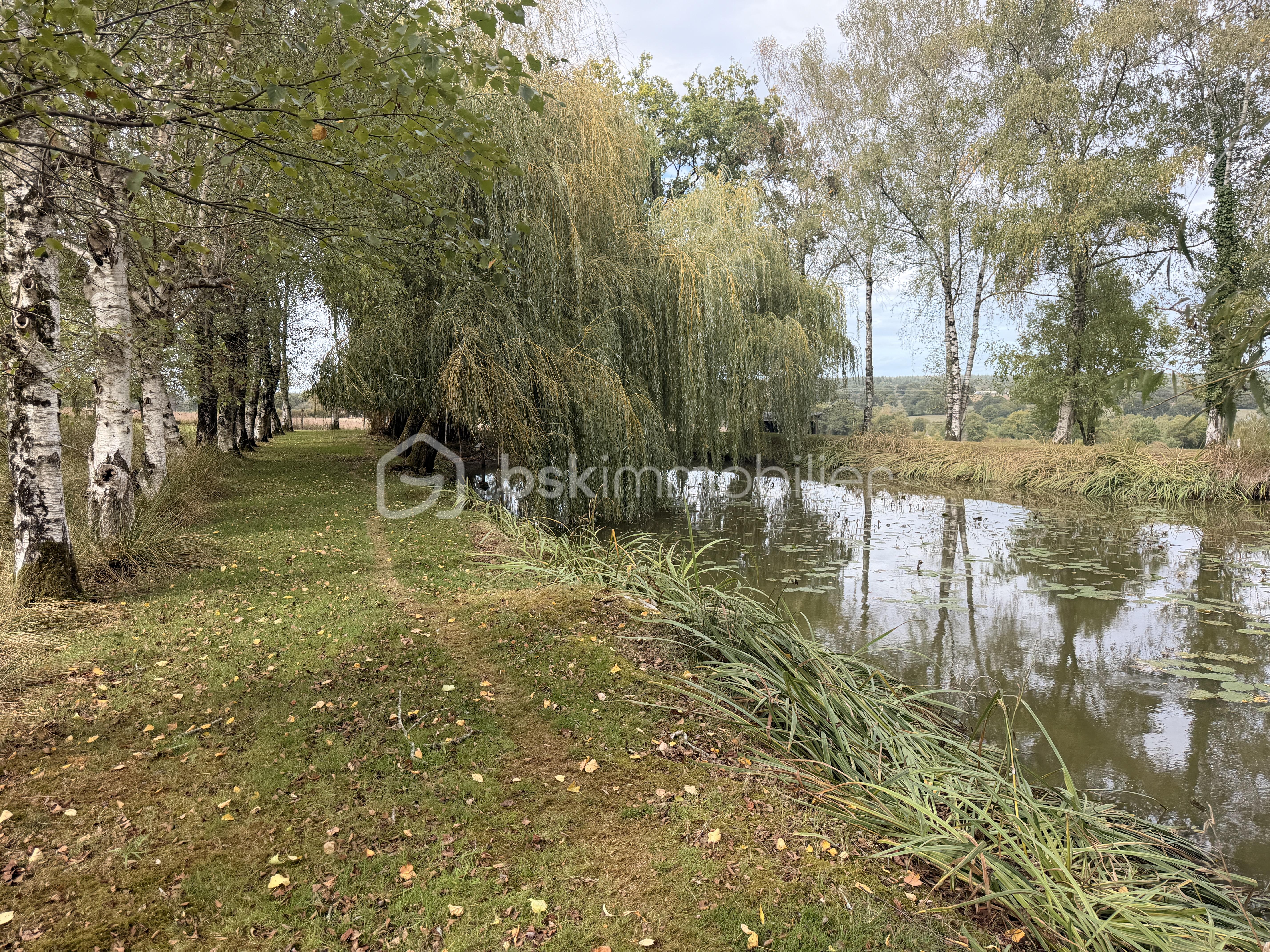 BATTEUX IMG_7584.JPG