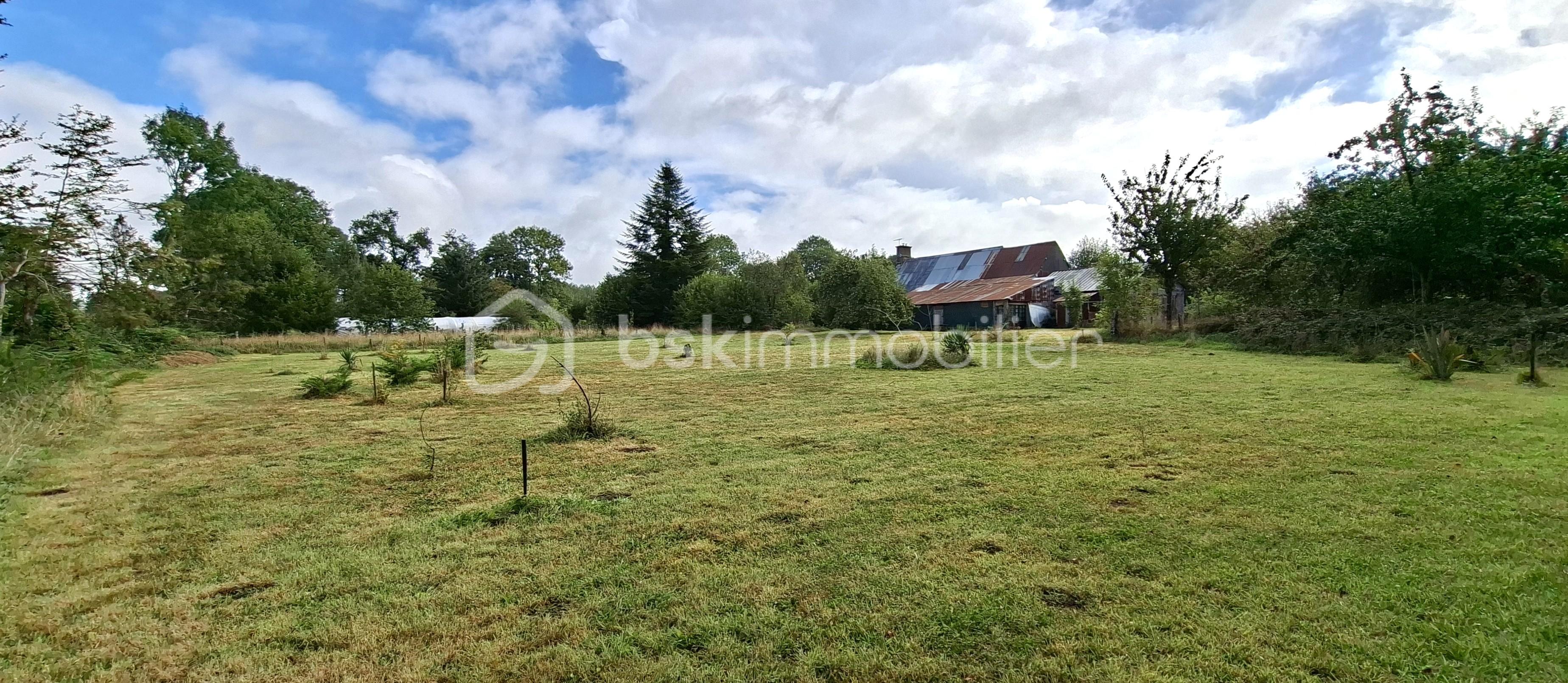 Maison longere de 90 m² - PINAY verger pris de l'entrée du bas 1.jpg