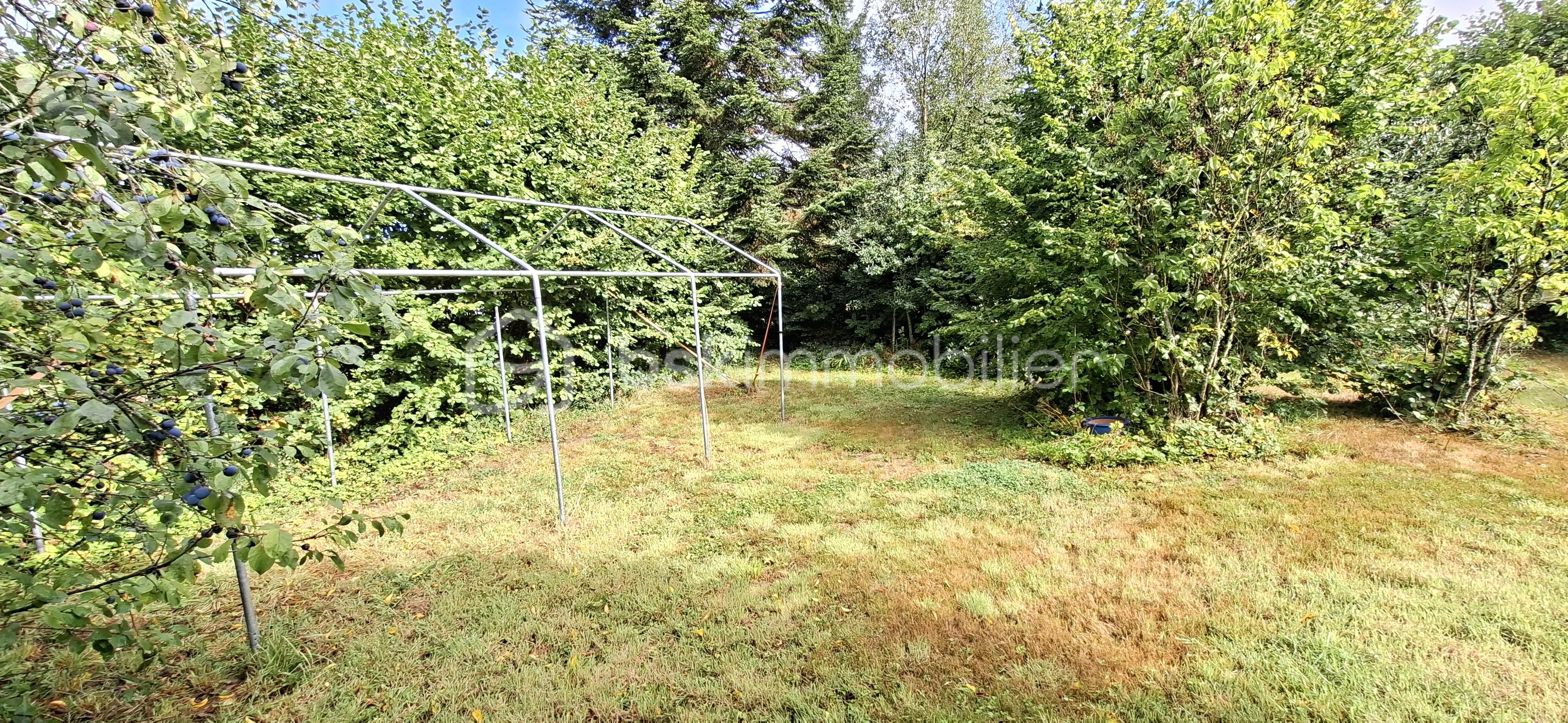 Maison longere de 90 m² - PINAY coin cocoon sur l'arrière cuisine vue sur tonnelle.jpg