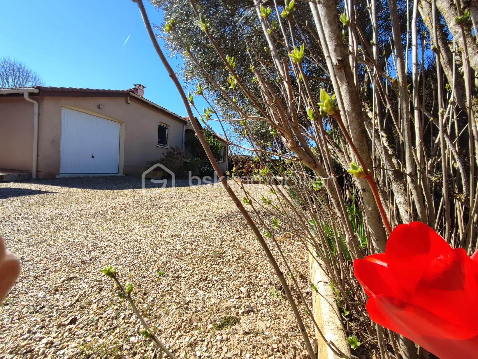 WhatsApp Image 2026-03-18 at 17.21.52(8).jpeg