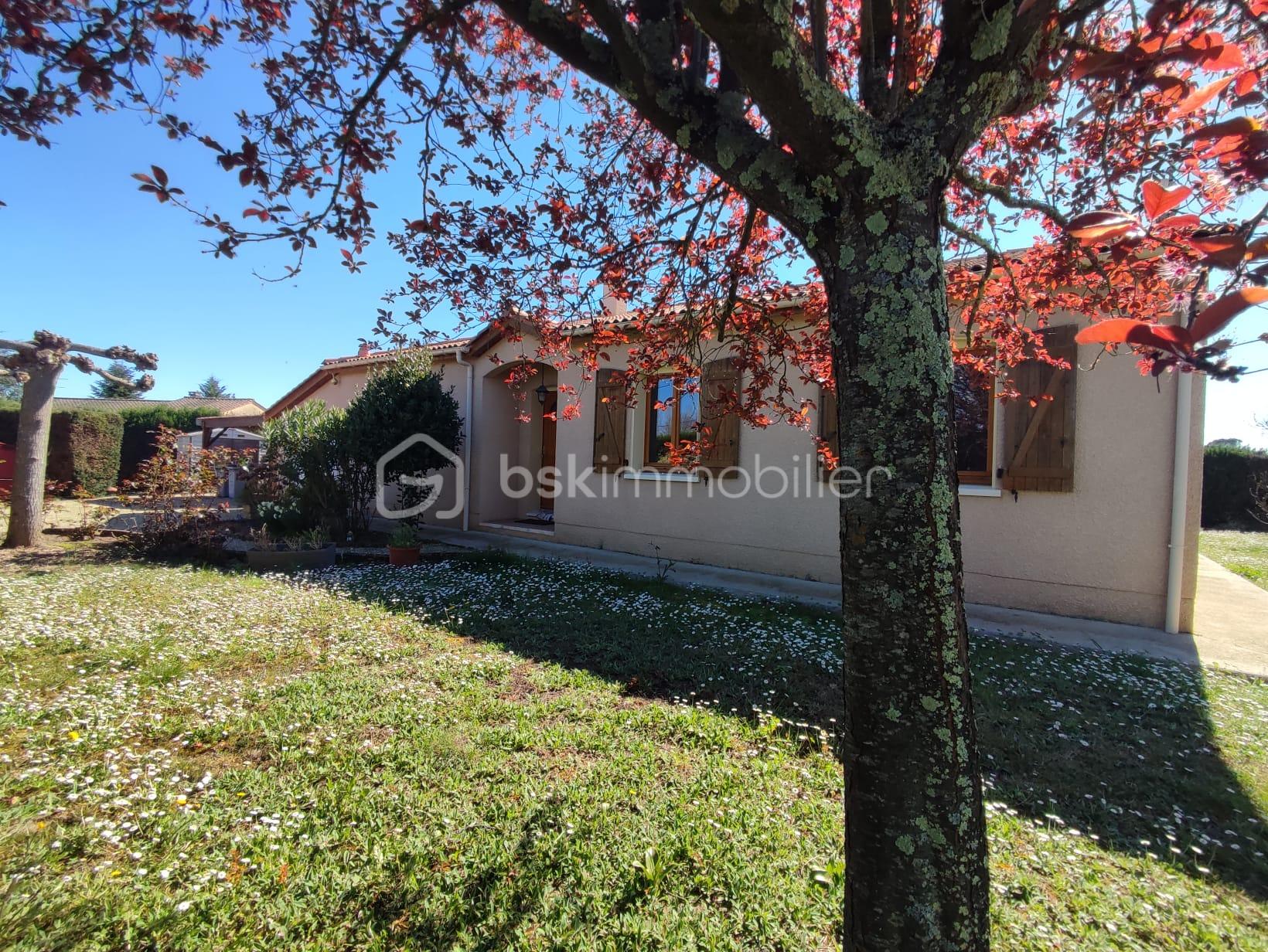 WhatsApp Image 2026-03-18 at 17.21.52.jpeg