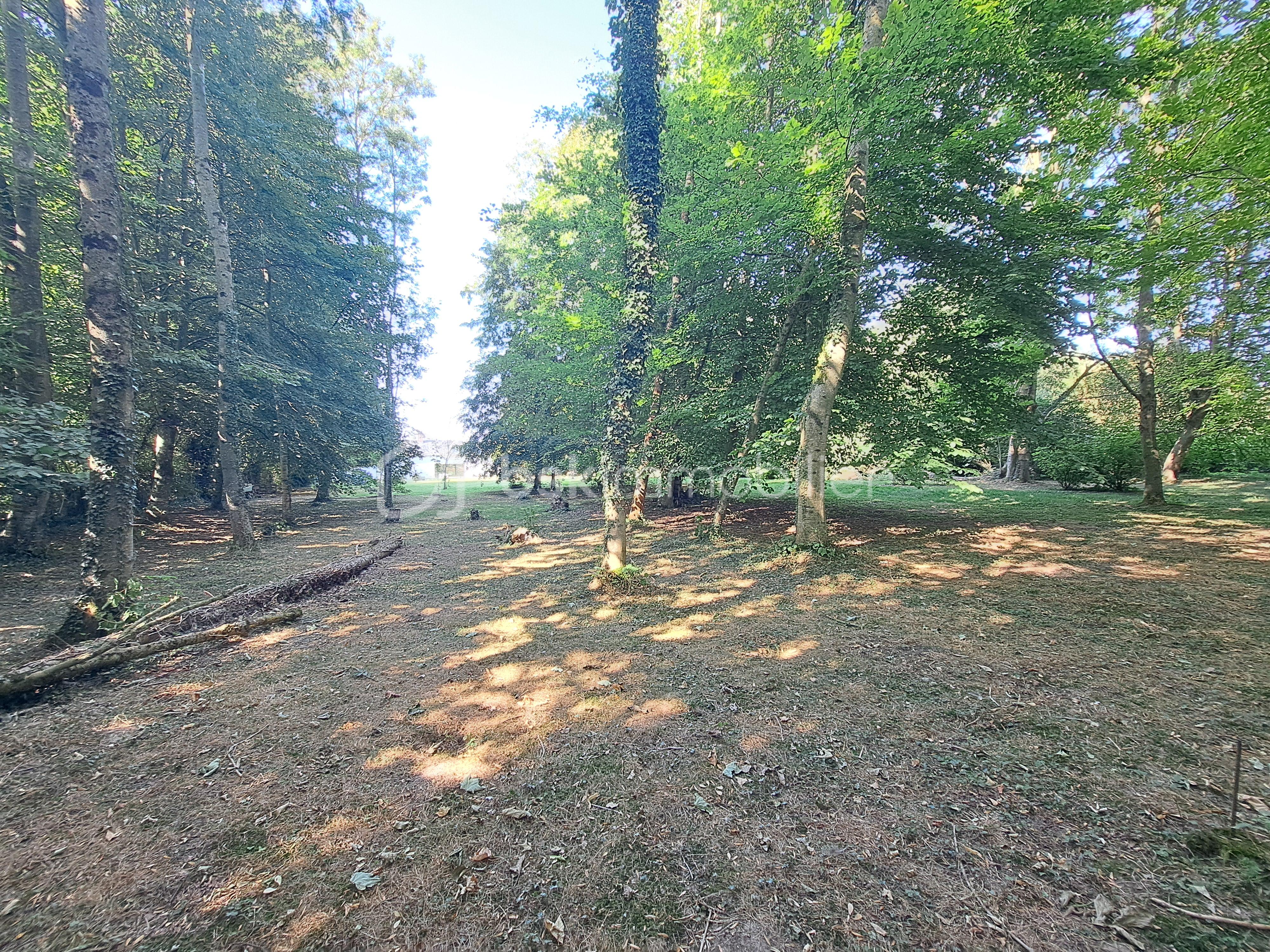 20260729_171023.jpg