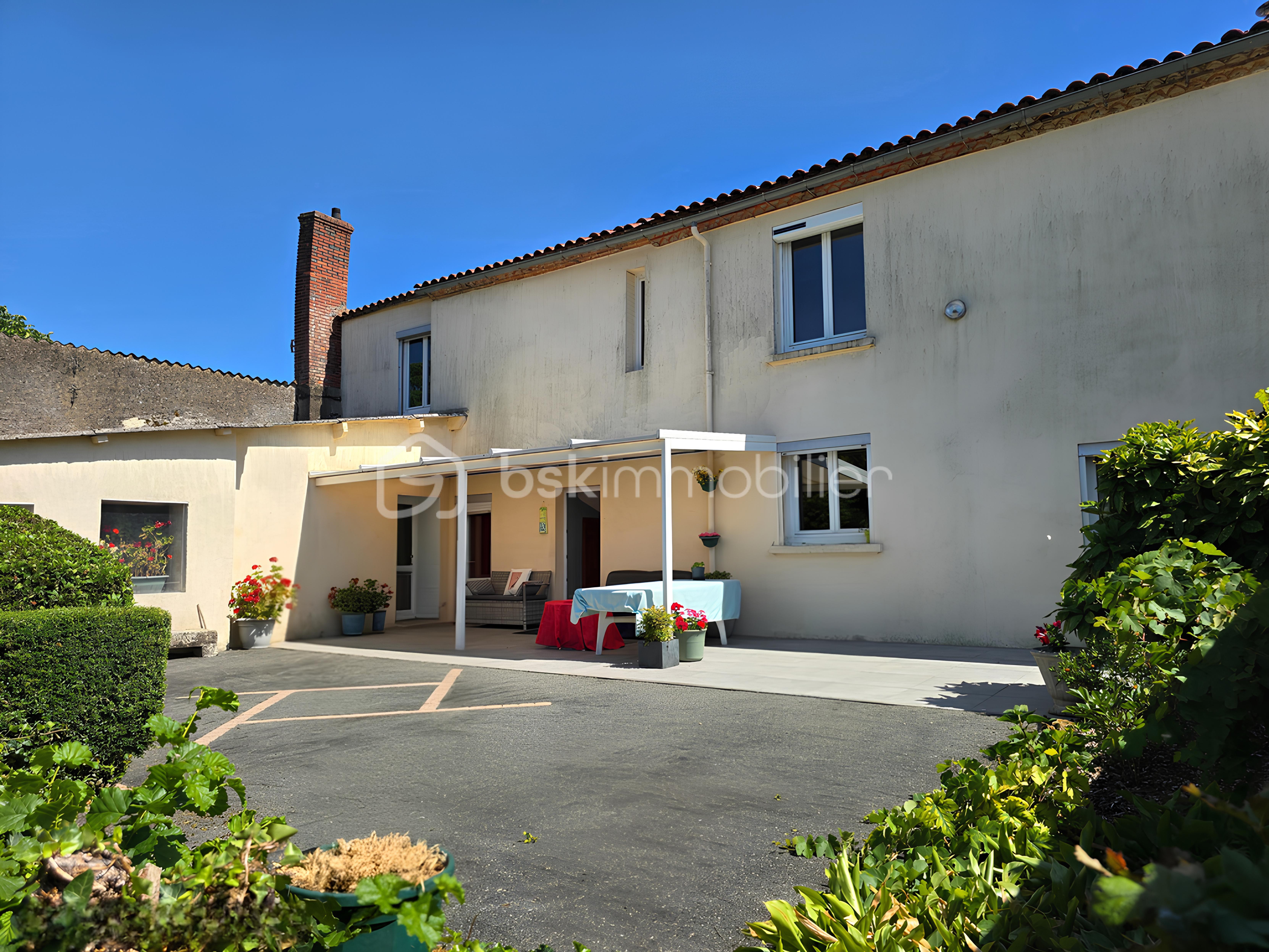 snapedit_1752917573554.jpg