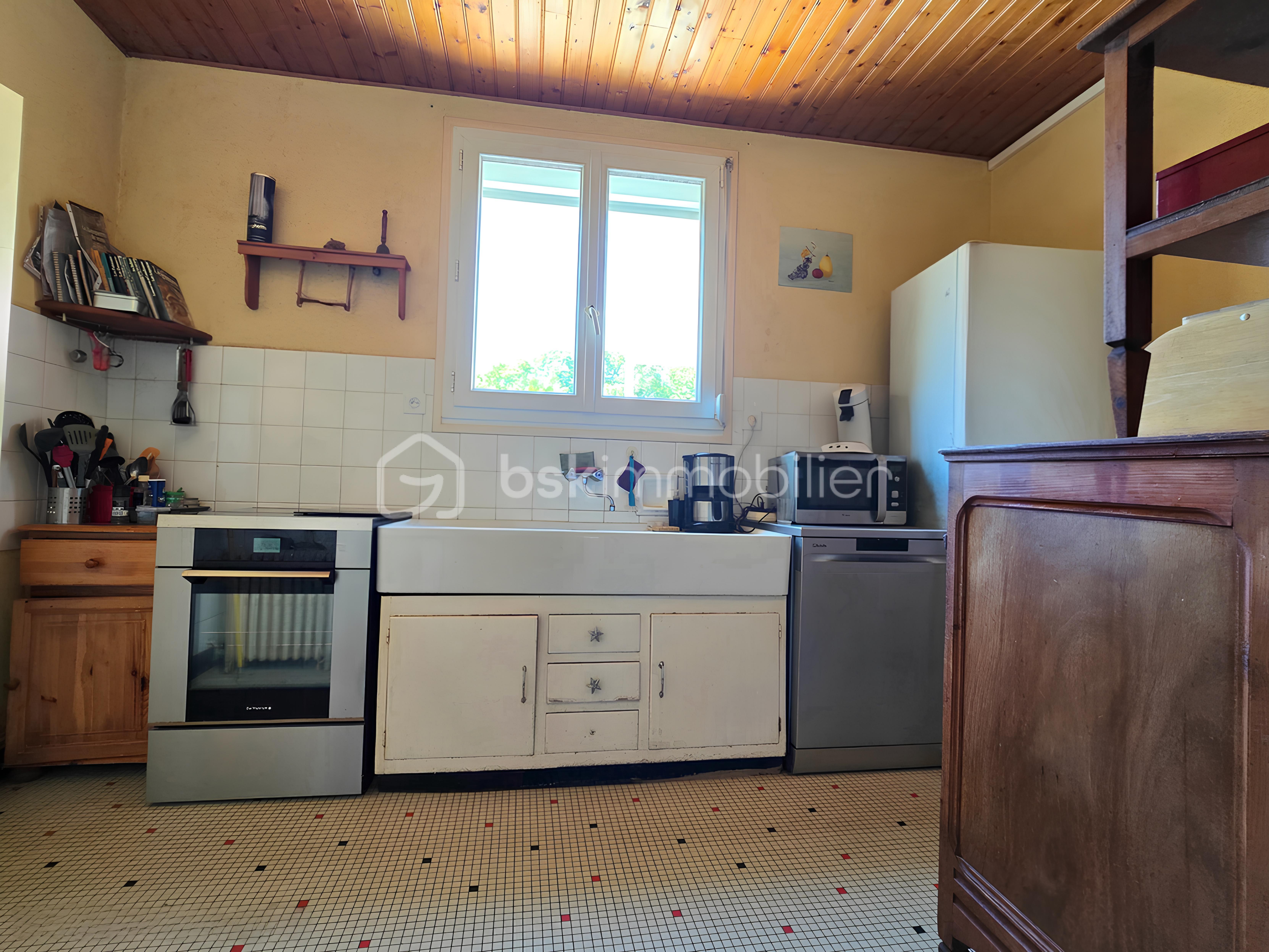 snapedit_1752918182669.jpg