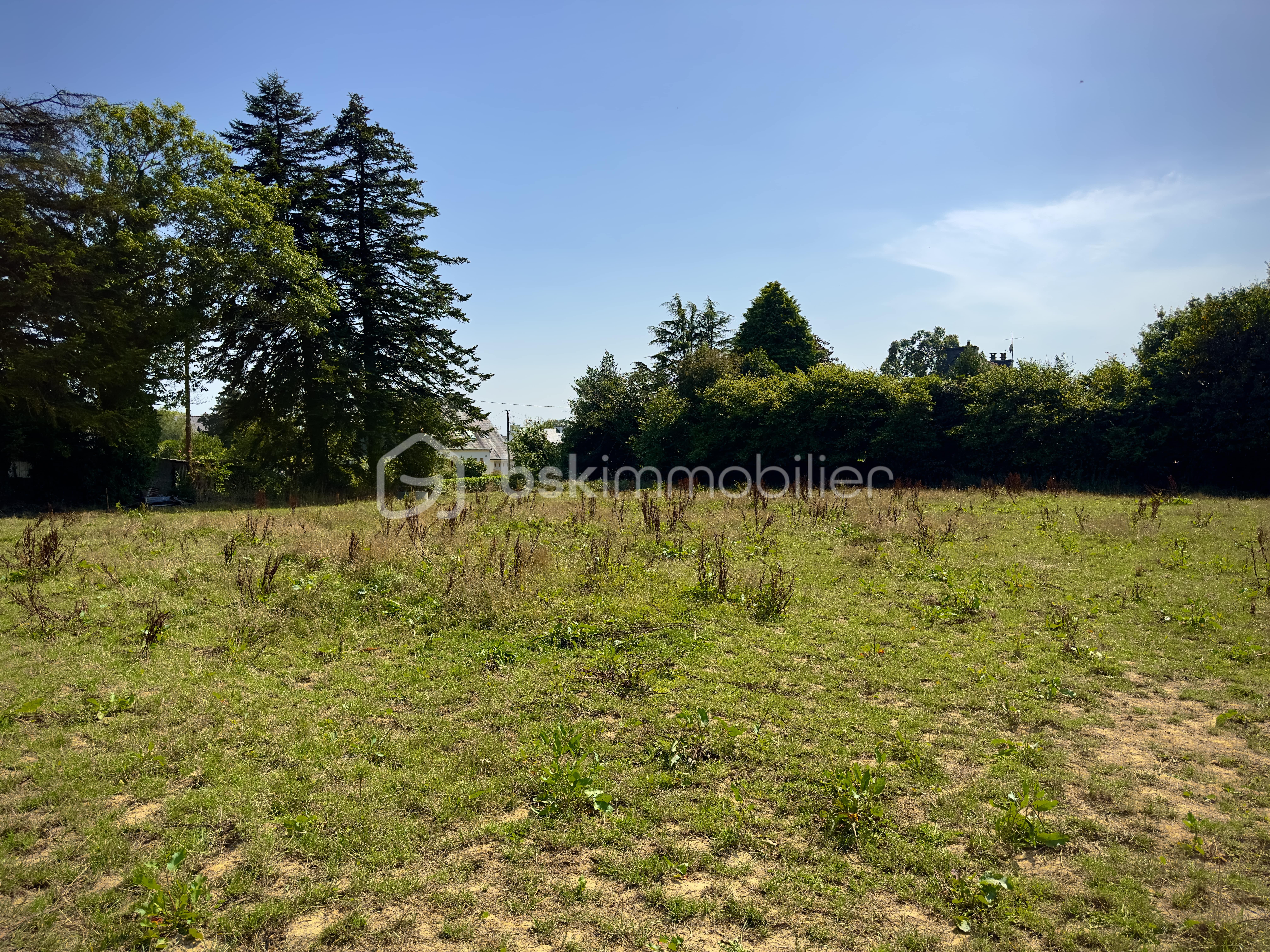 Lotissement de 1 755 m² - IMG_6550-min.jpg