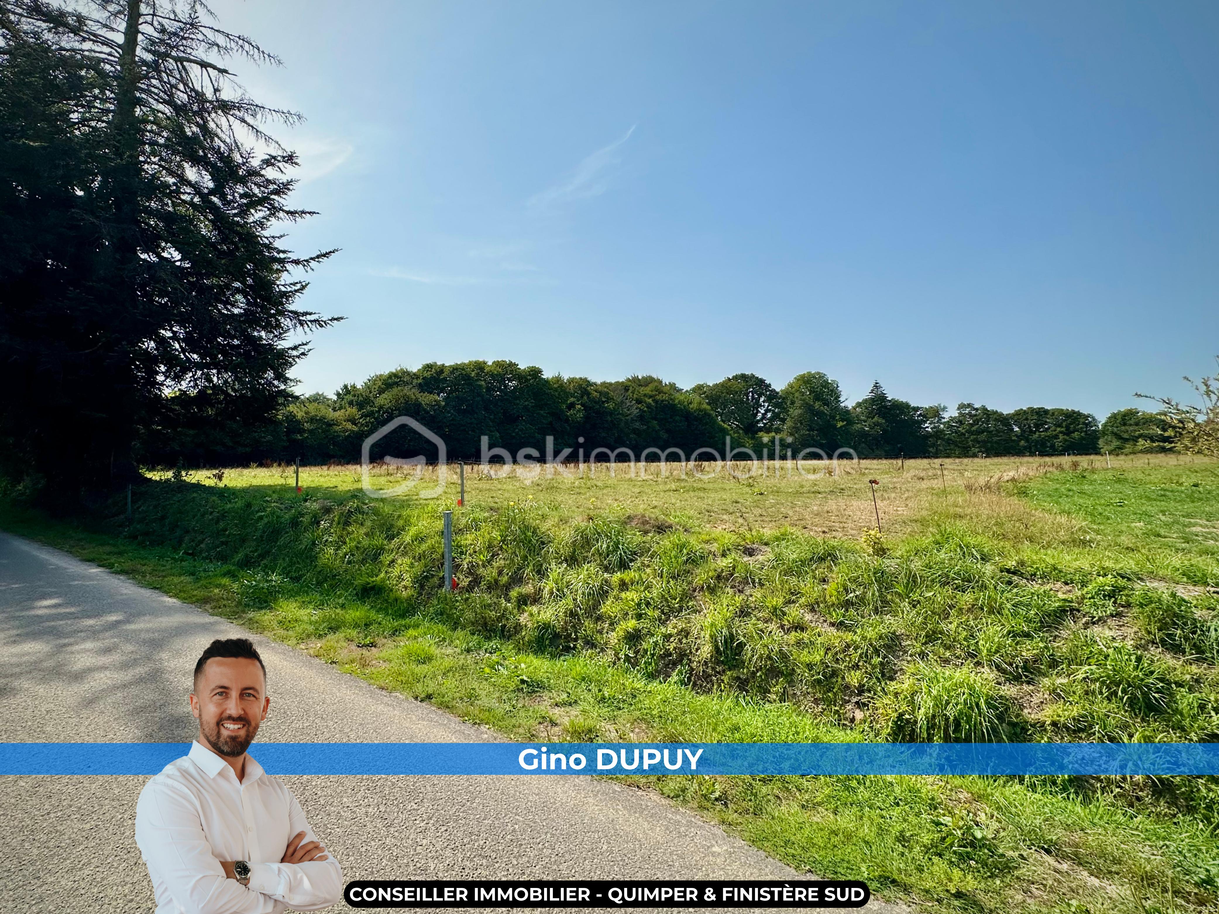 Gino DUPUY Conseiller BSK Immobilier - 2026-09-03T211912.046.png