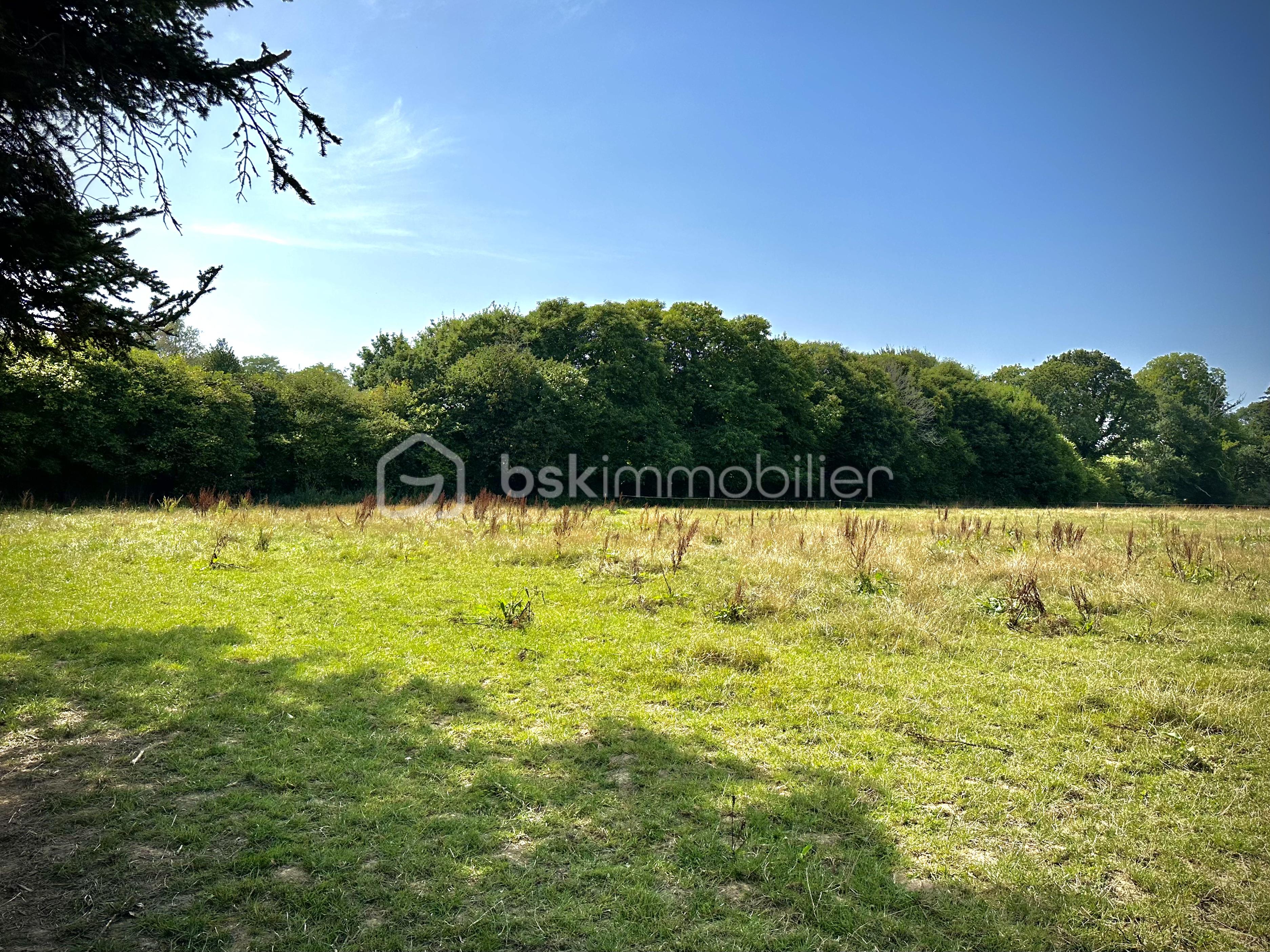 Terrain de 1 750 m² - IMG_6547.jpeg