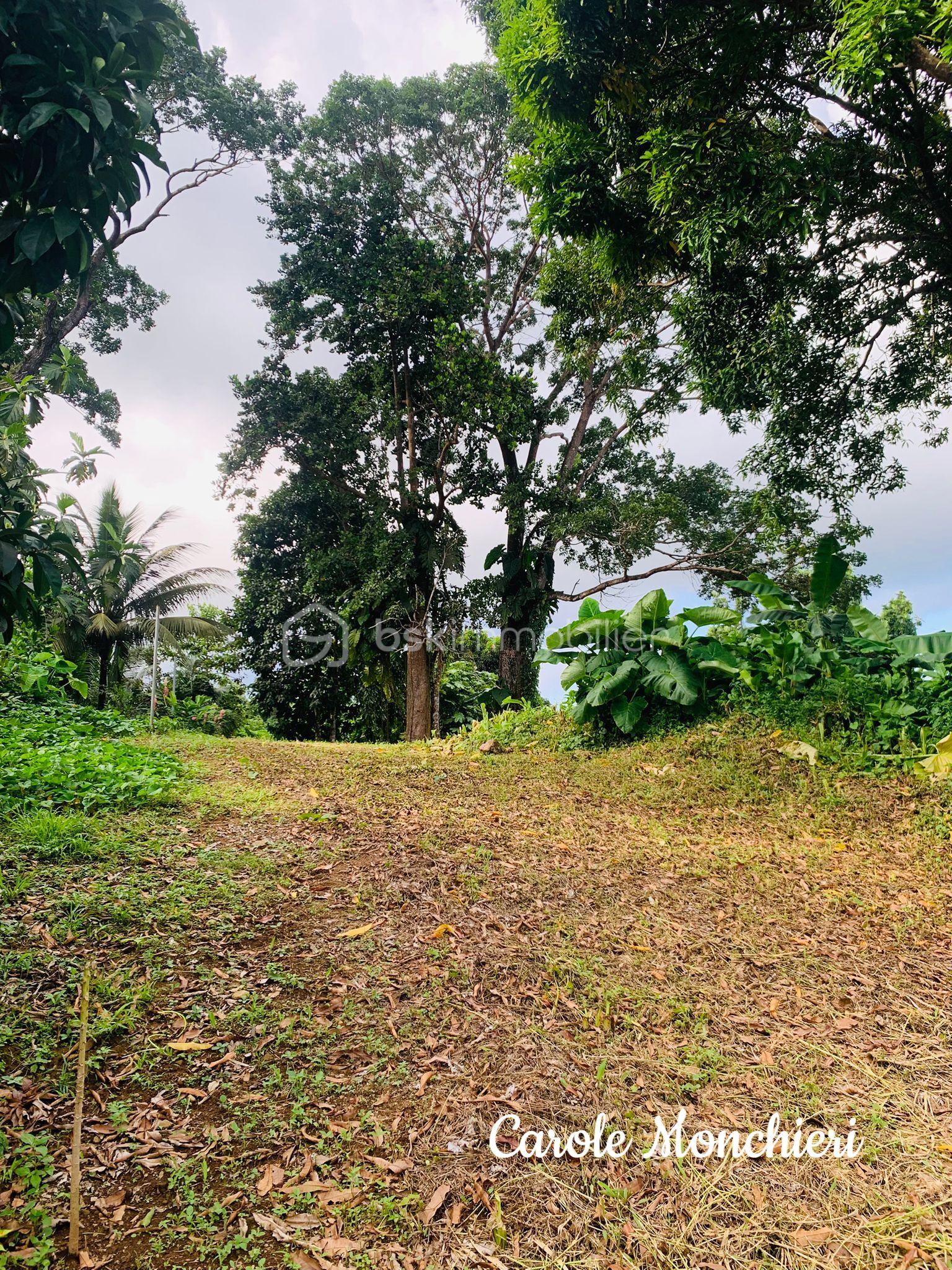 Terrain de 738 m² - IMG-20250906-WA0005.jpg