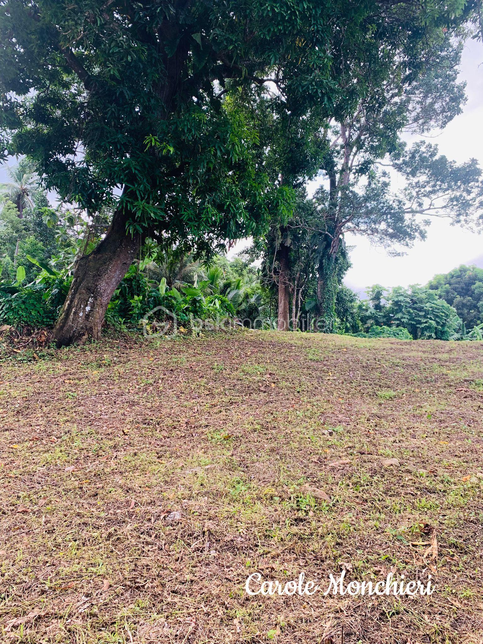 Terrain de 738 m² - IMG-20250906-WA0008.jpg