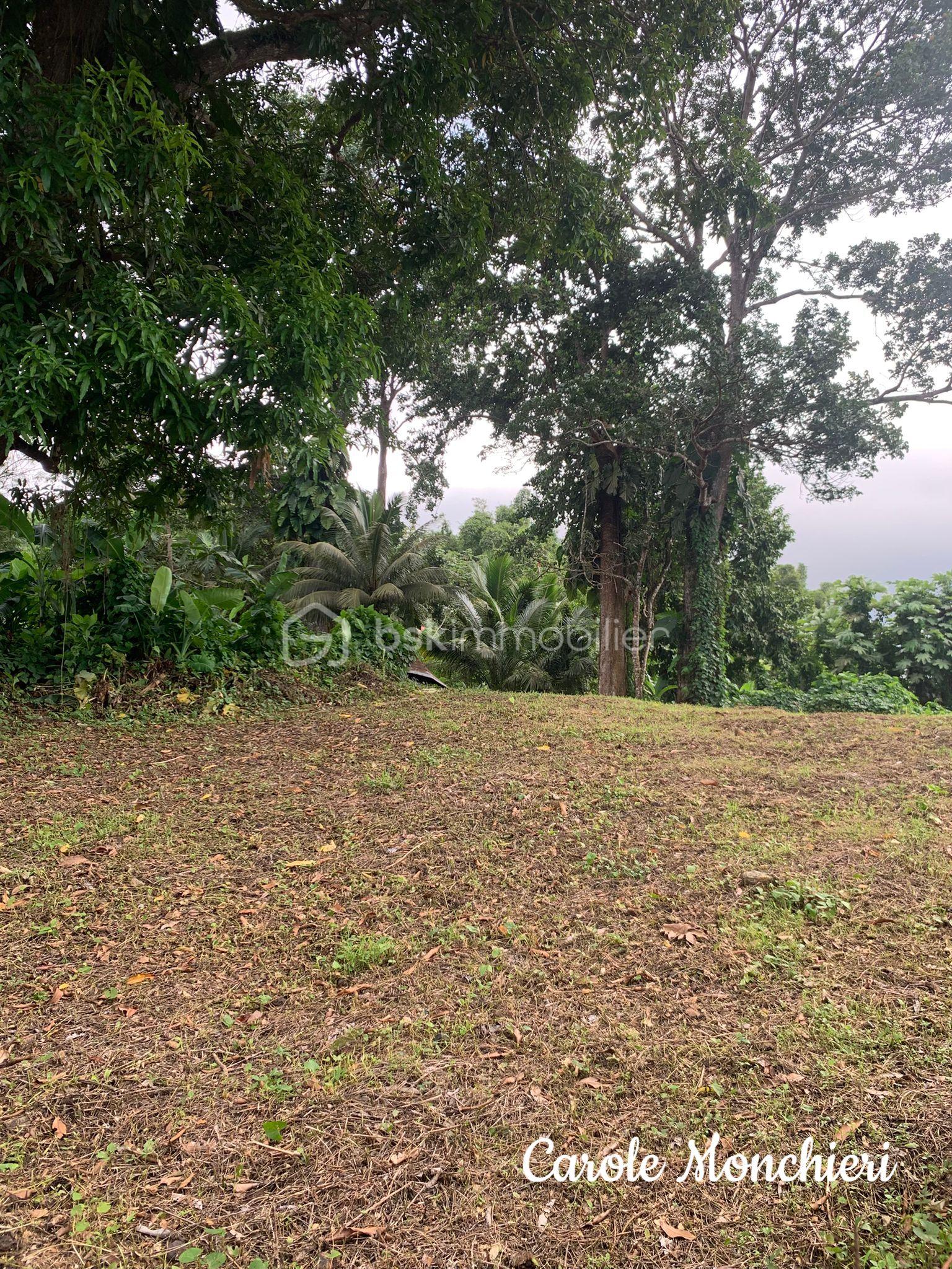 Terrain de 738 m² - IMG-20250906-WA0001.jpg