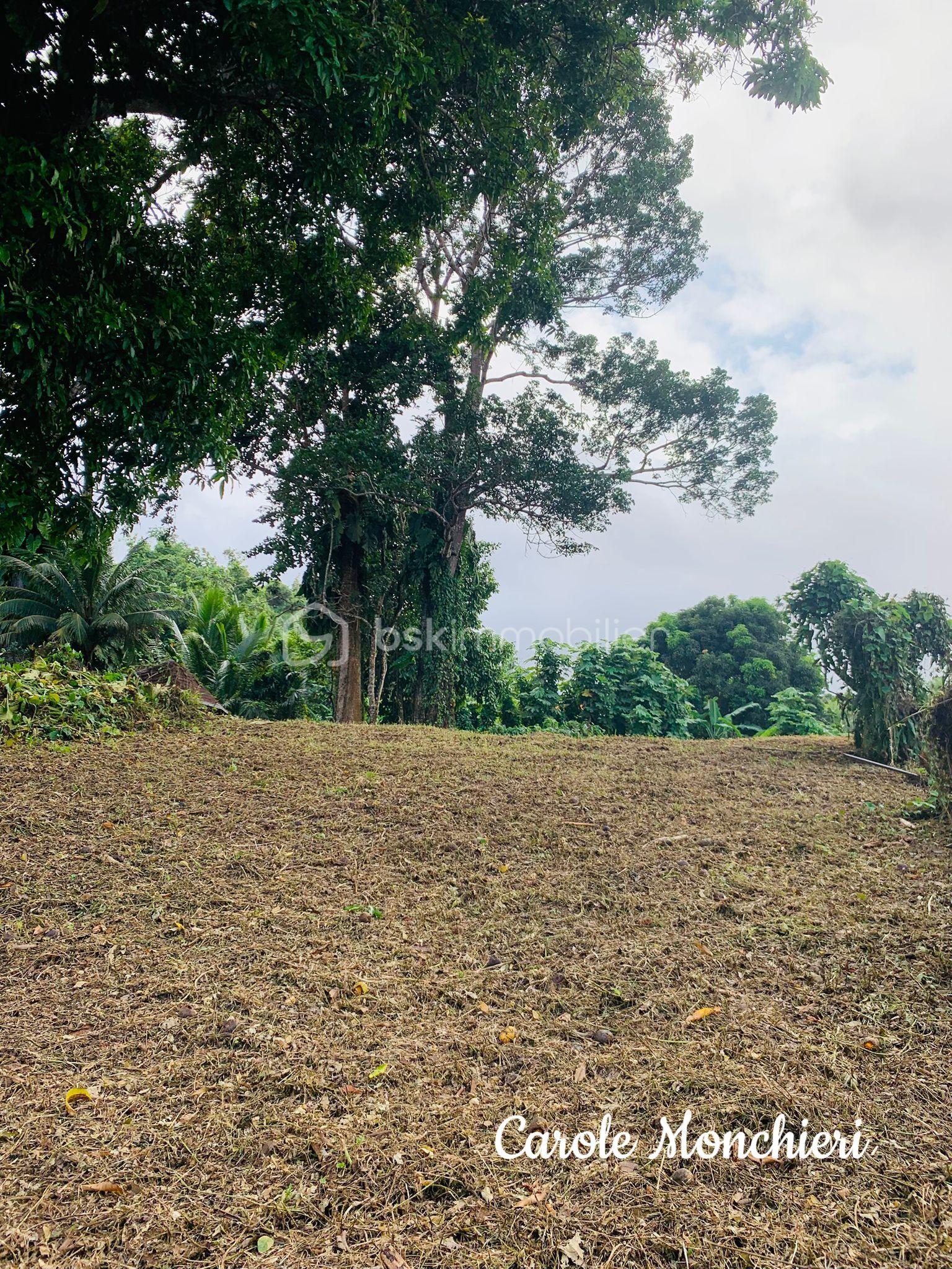 Terrain de 738 m² - IMG-20250723-WA0029.jpg