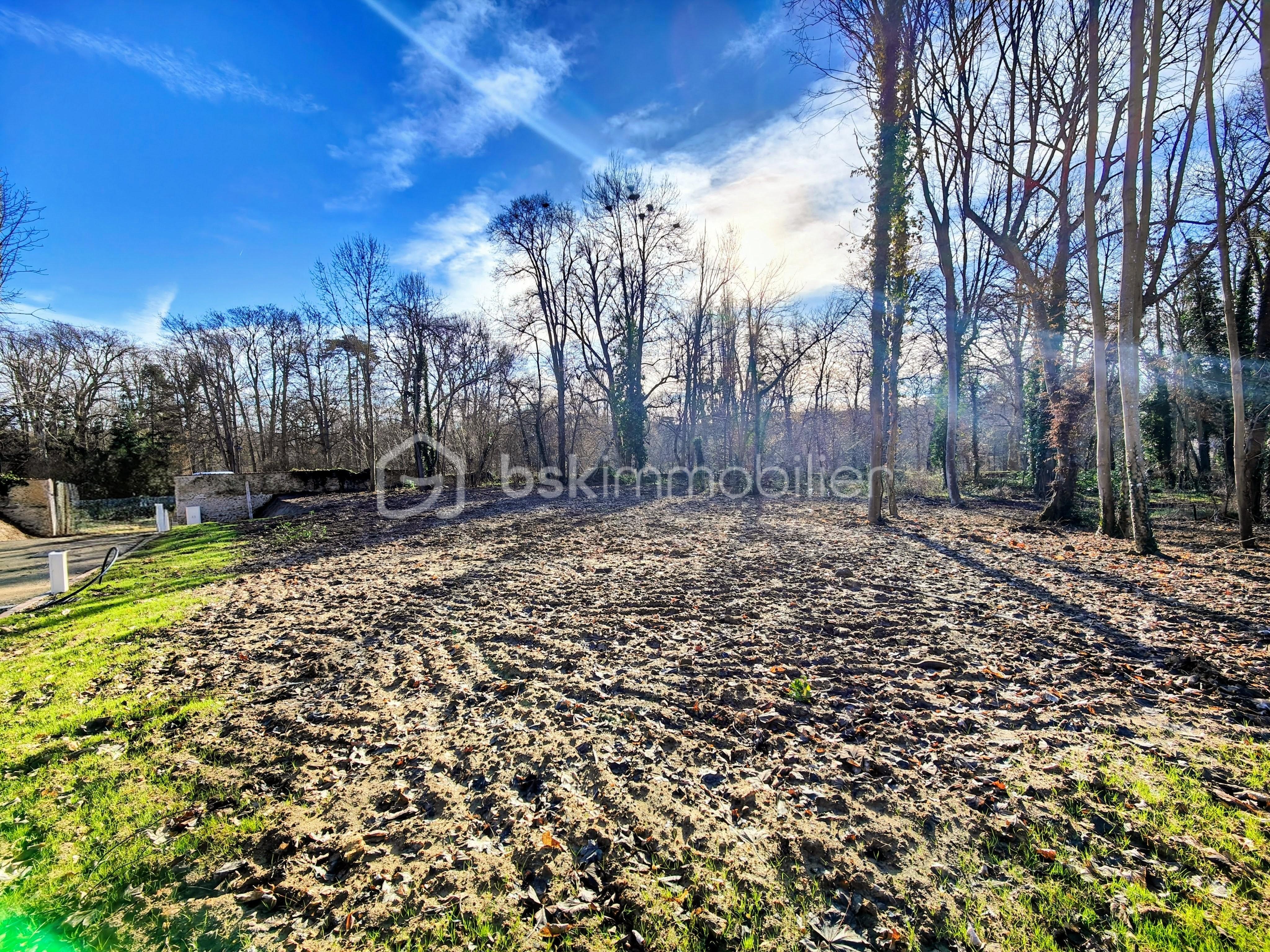 Terrain de 1 440 m² - IMG20260113113846~2.jpg