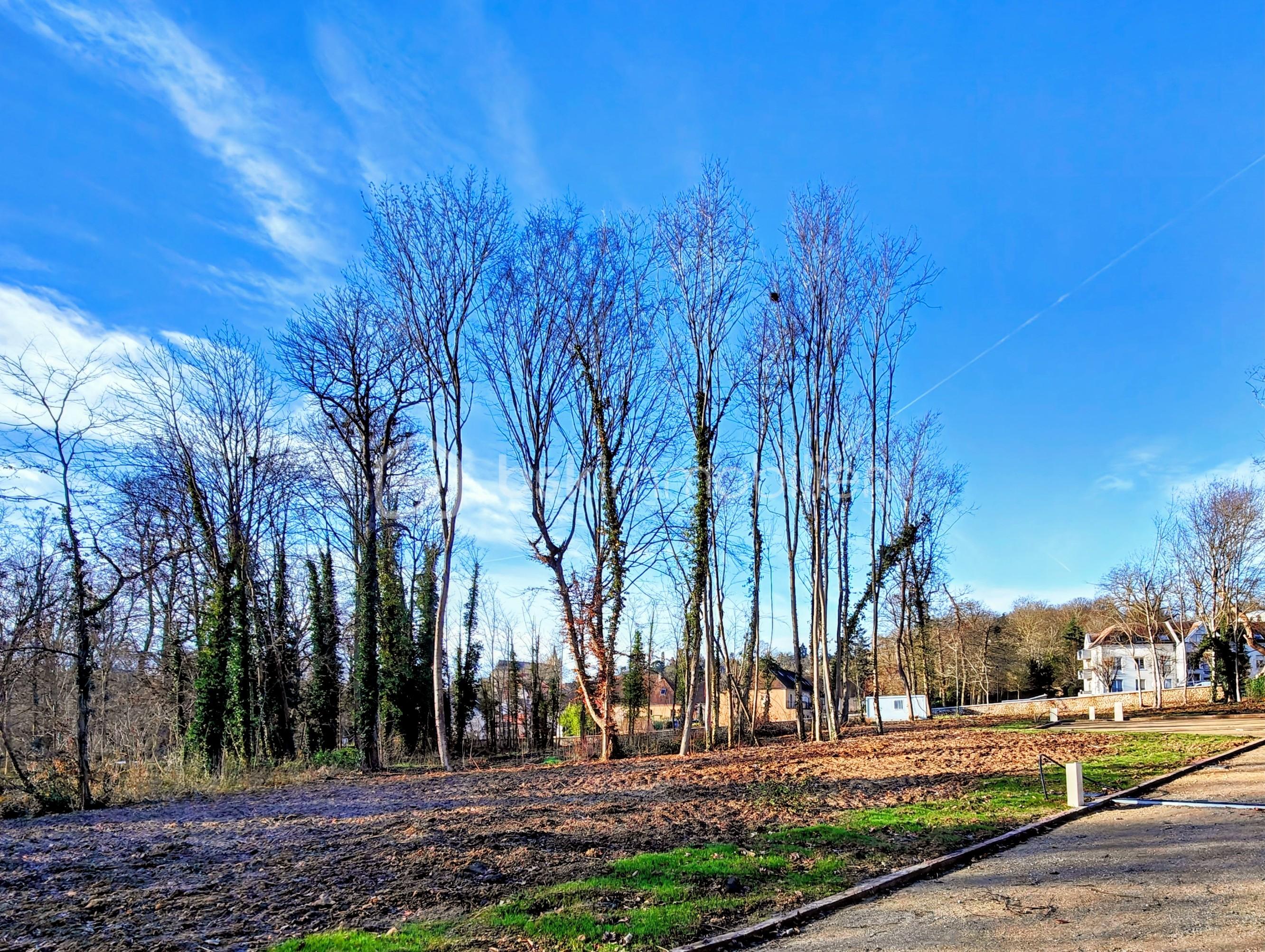 Terrain de 1 440 m² - IMG20260113113207~2.jpg