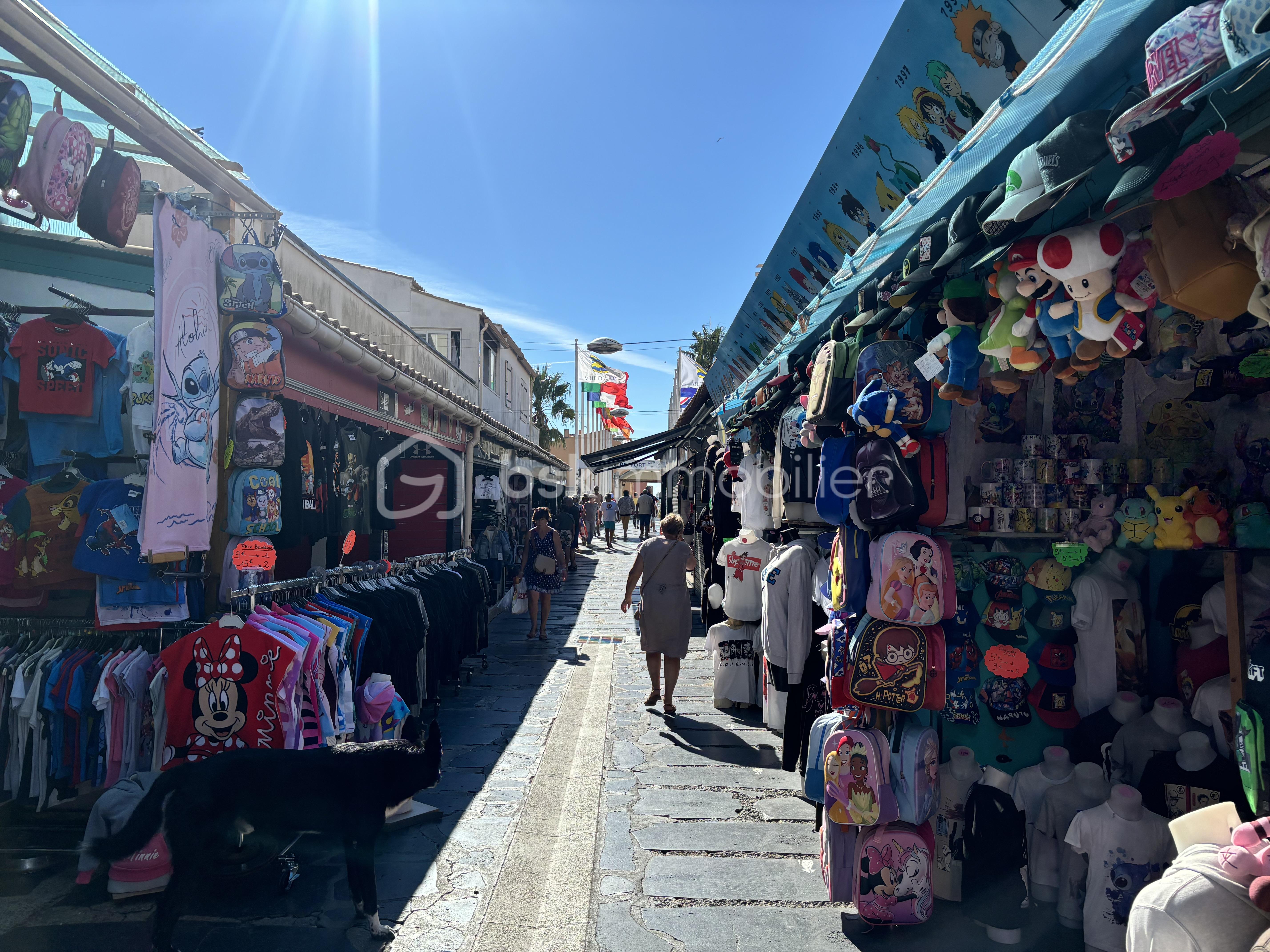 Appartement de 40 m² - image00021.jpeg