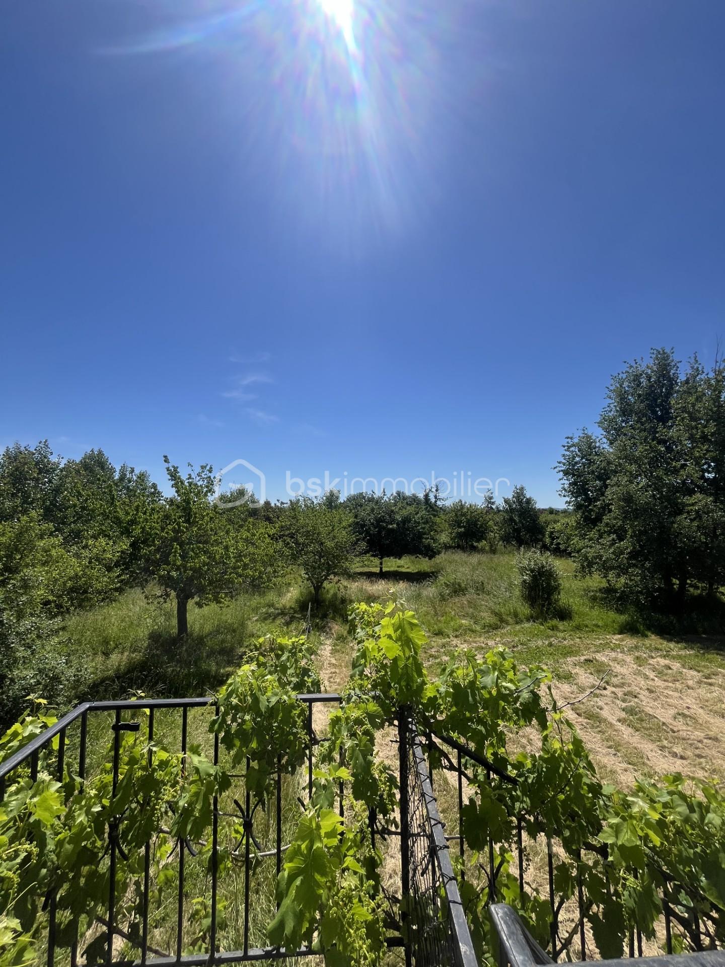 26fef2d3-1c96-44dd-a1a2-fc38679df2c4.jpg