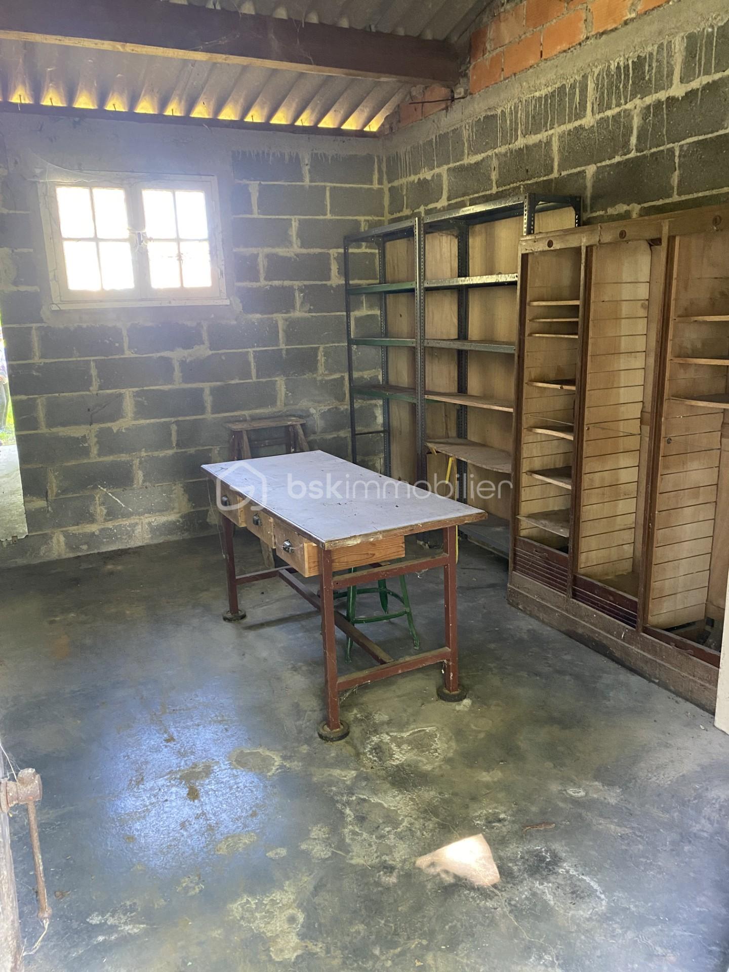 9bc50748-bfb9-4b2c-97aa-cf9f4a2aeaef.jfif