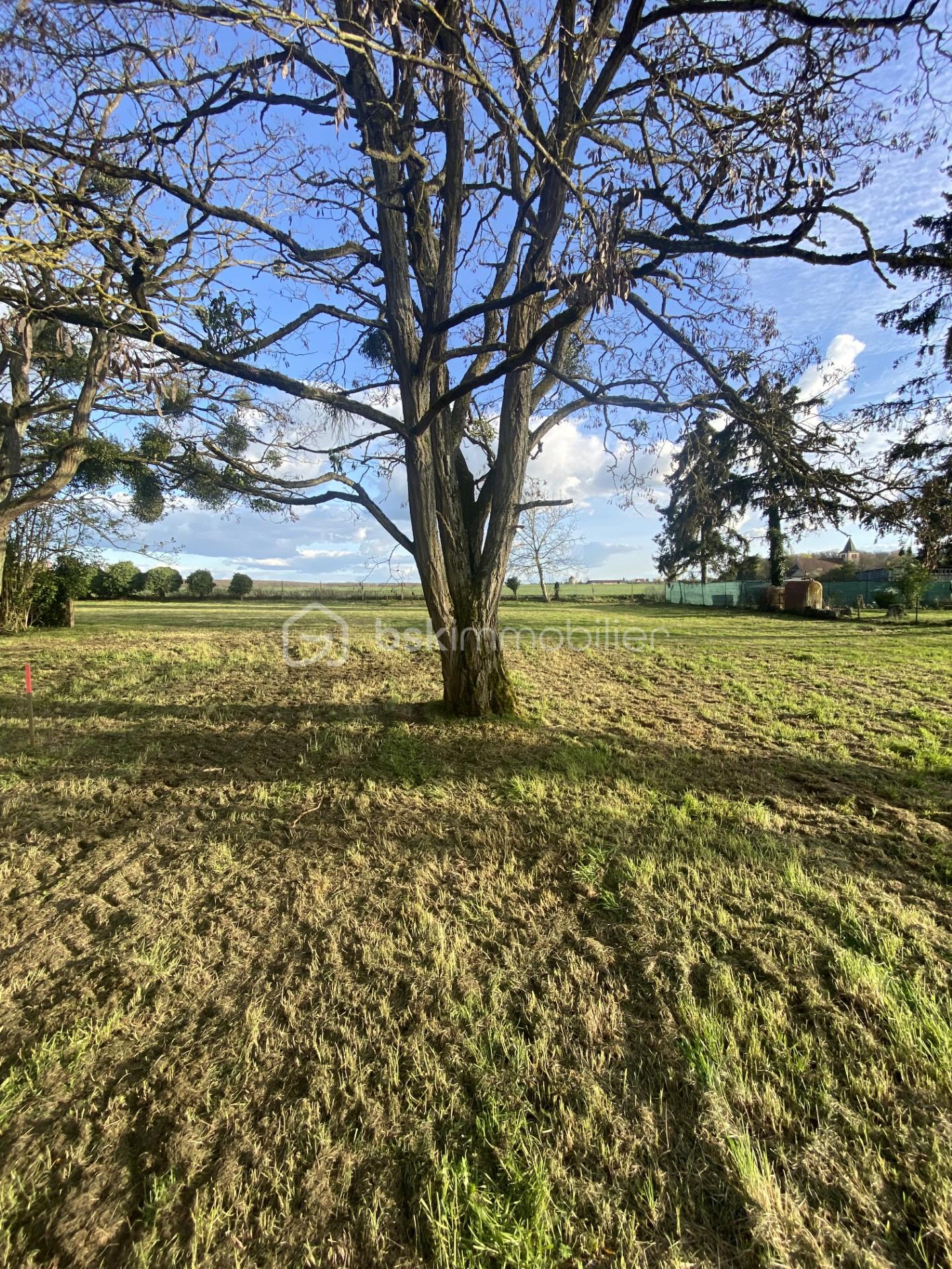 9c0486d8-6f0f-4e34-97e4-a2f119174023.jfif