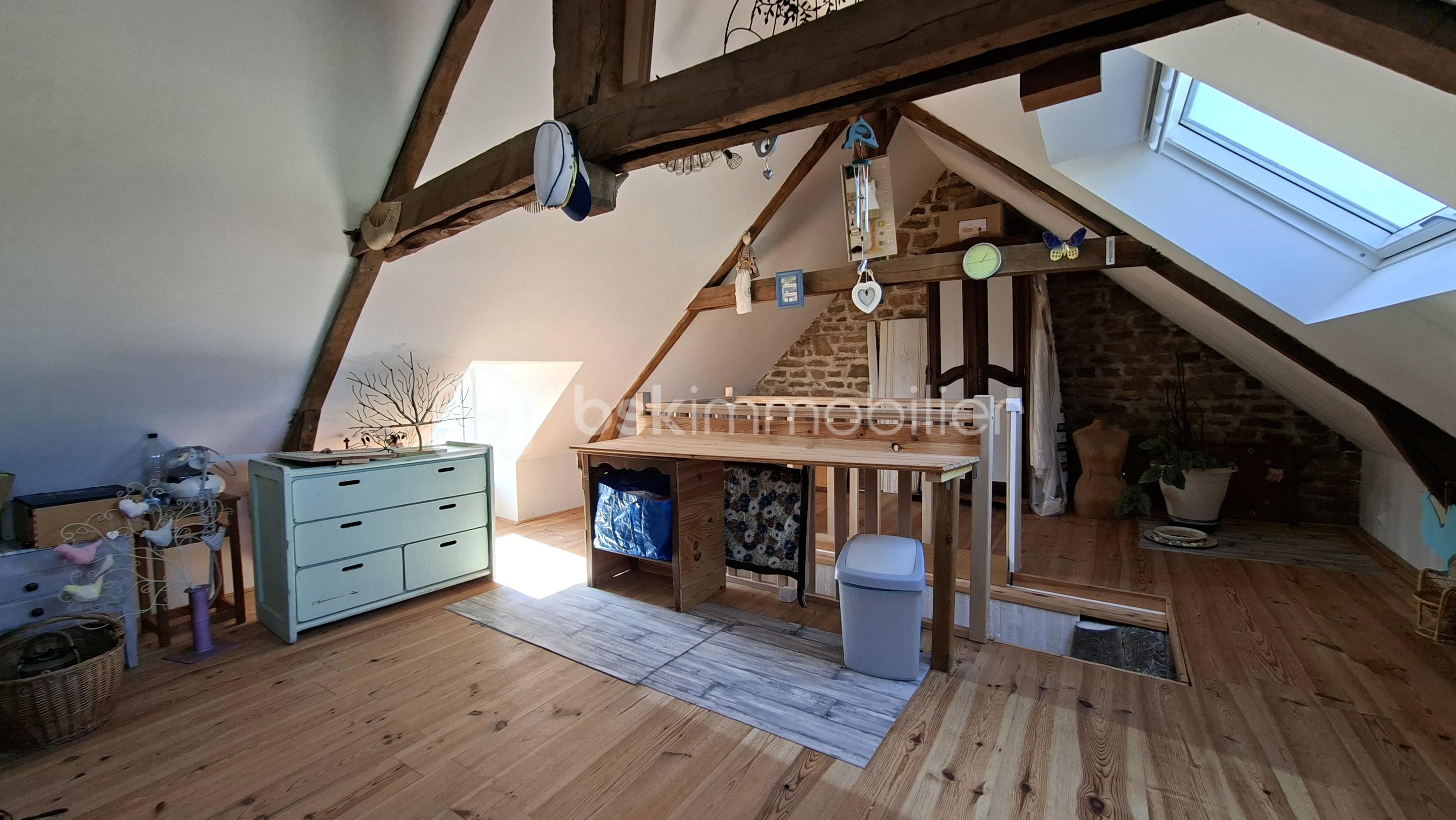 DARMON grenier 3 ple le 02 03 2026 .jpg