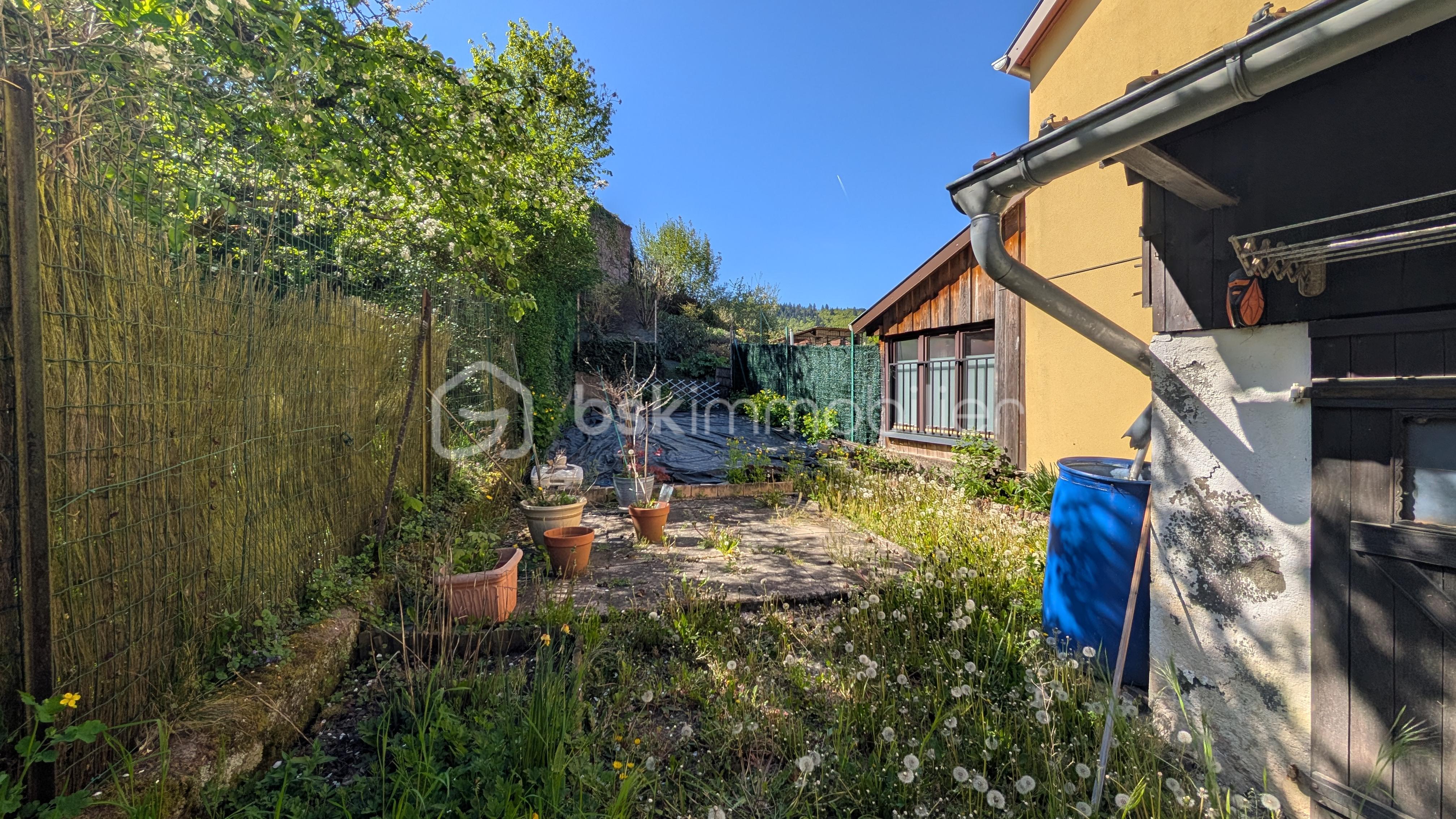 Jardin 1.jpg