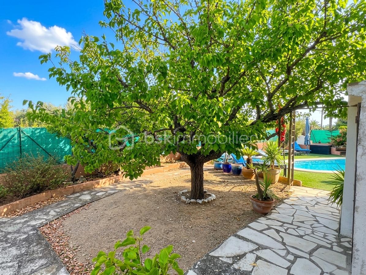 arbre-cote-jardin.jpg