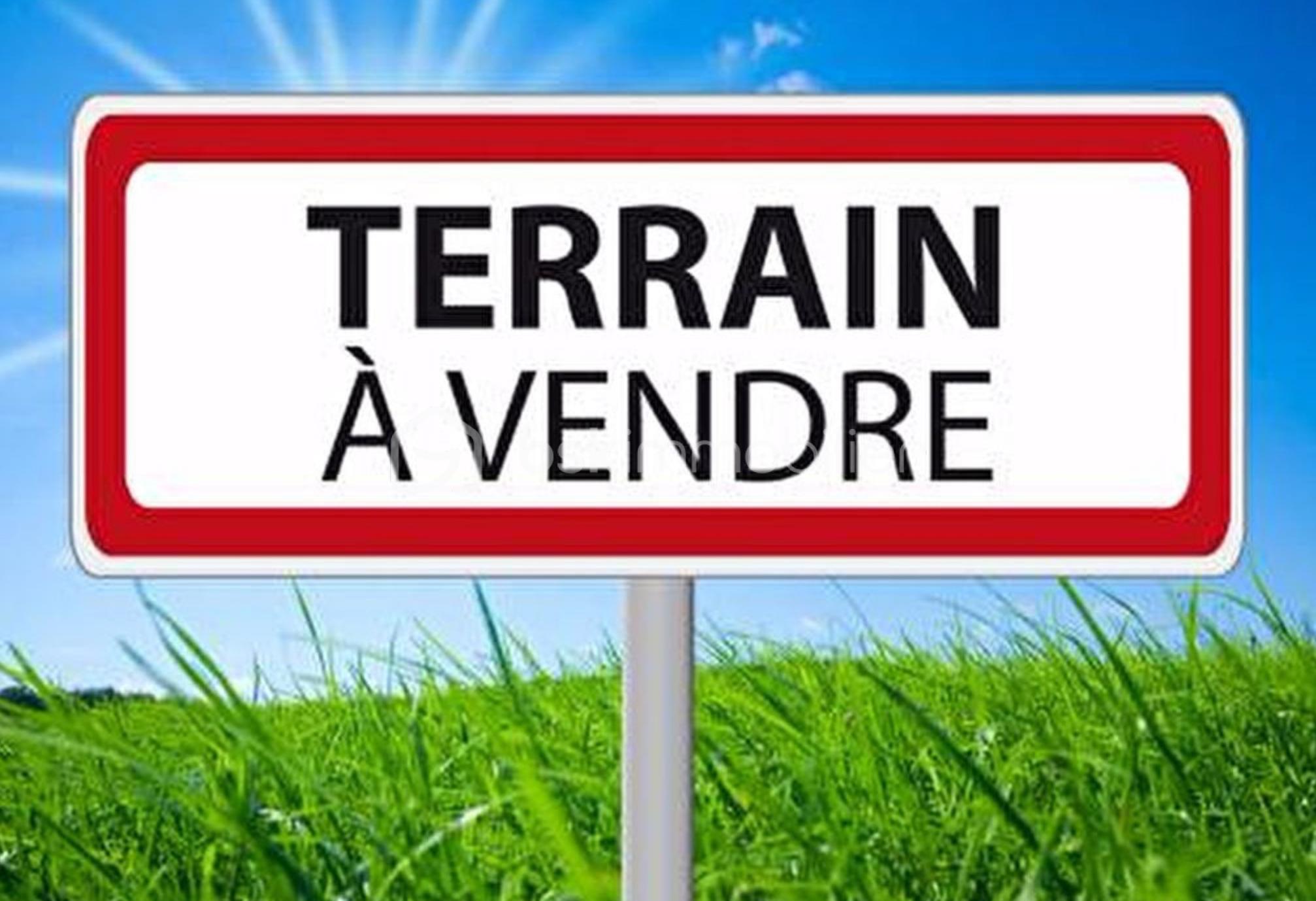Terrain de 500 m² - IMG_3627.jpeg