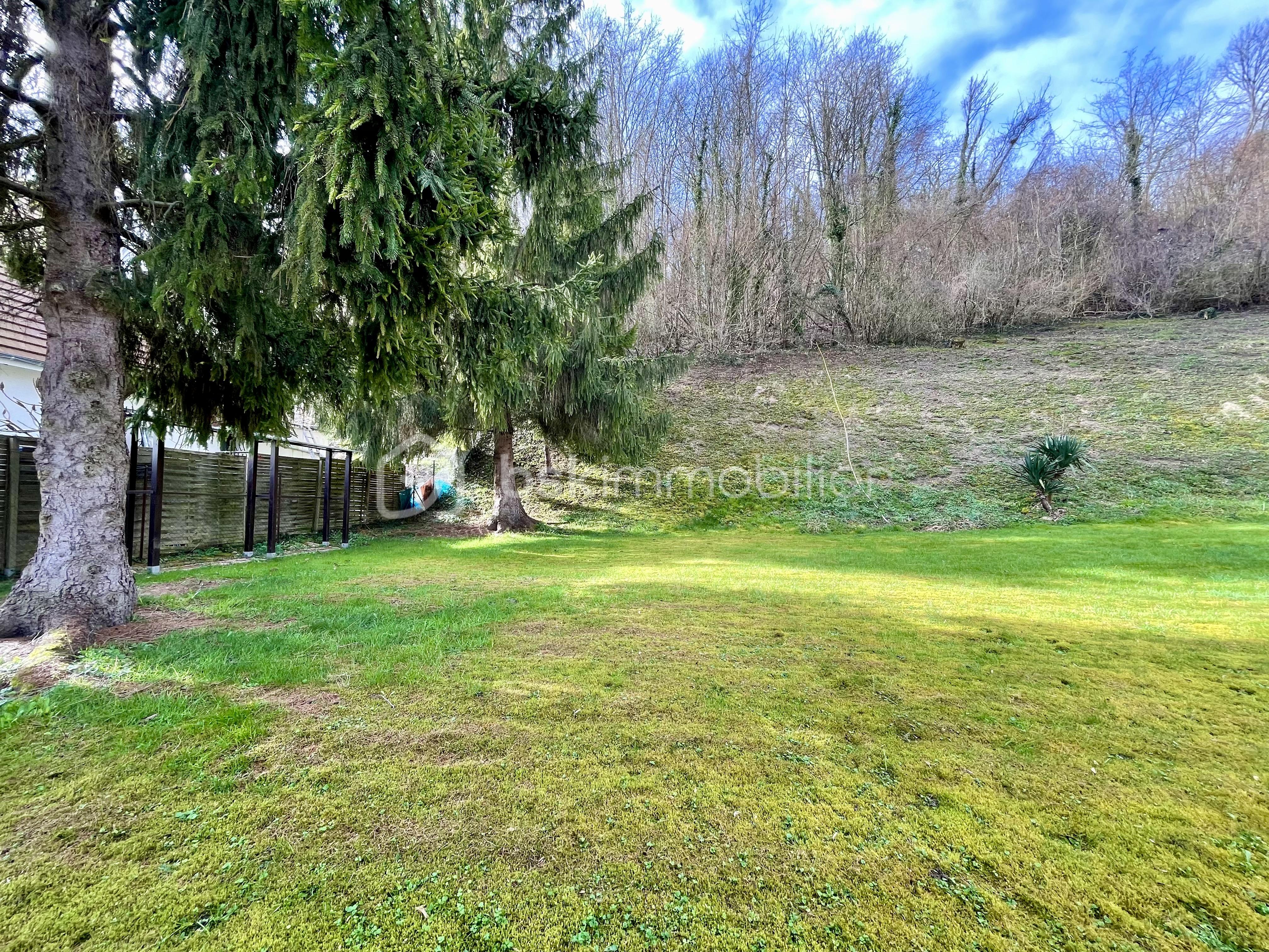 Terrain de 1 298 m² - IMG_5333.jpeg