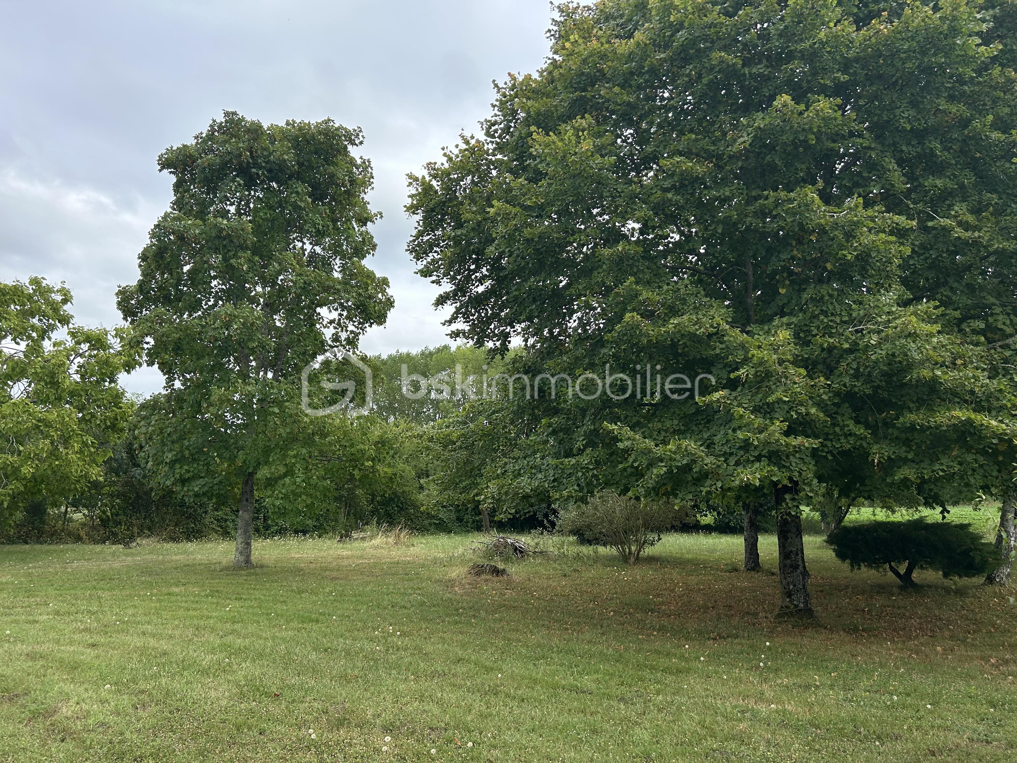 Maison contemporaine de 95 m² - IMG_4469.jpeg