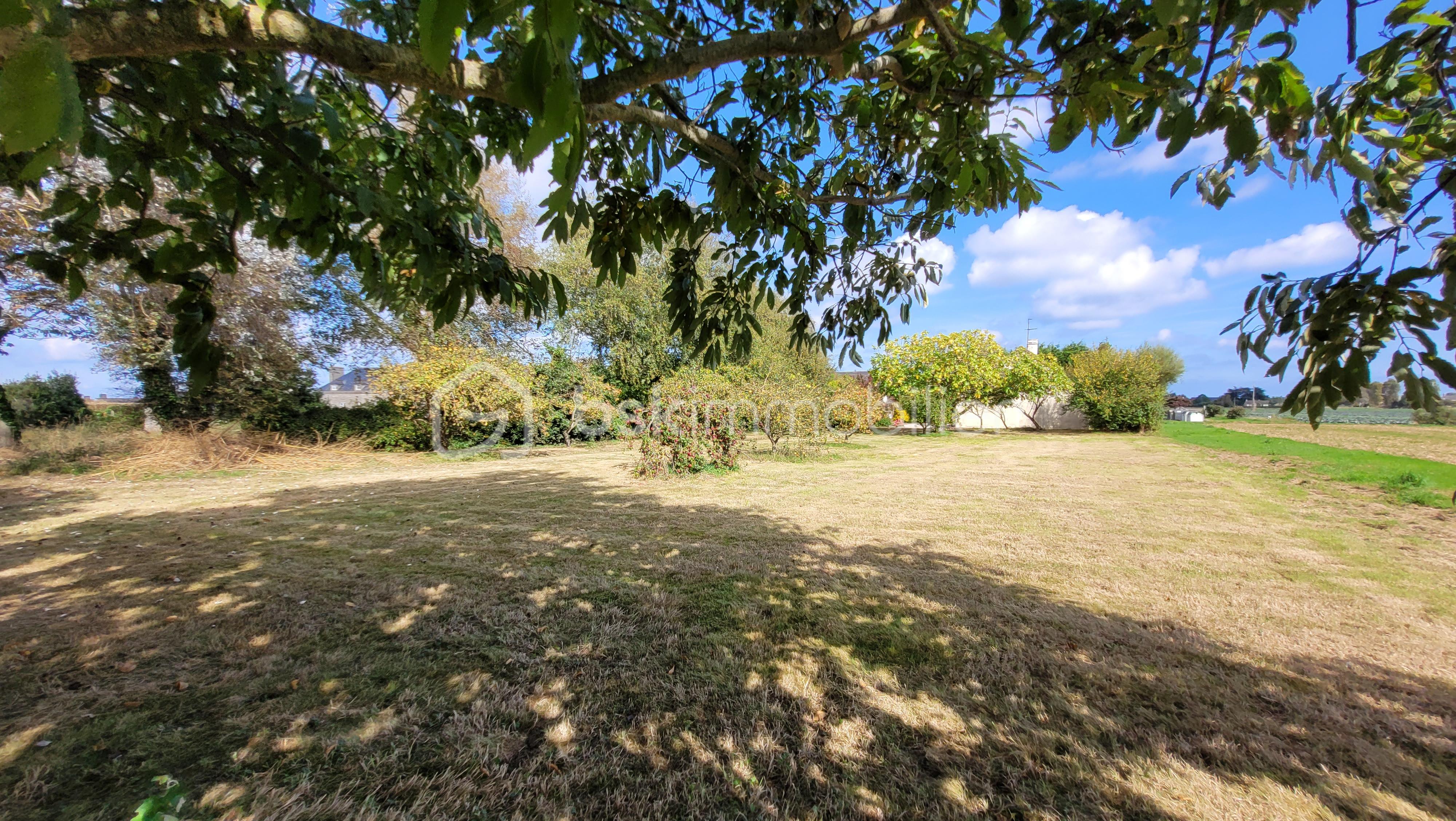 Maison de 115 m² - 20250929_133037.jpg