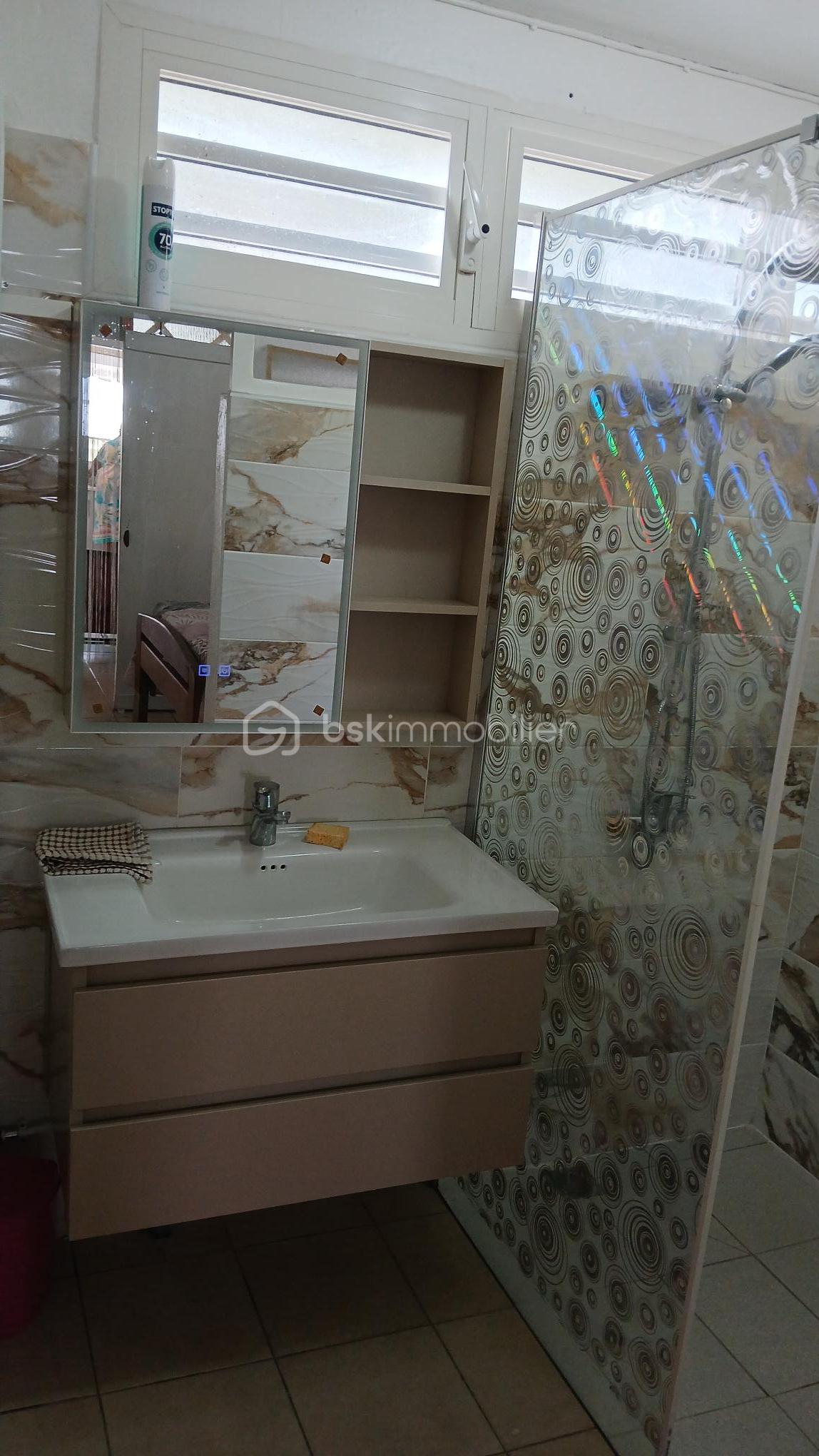 SDE lavabo douche 20260327.jpg